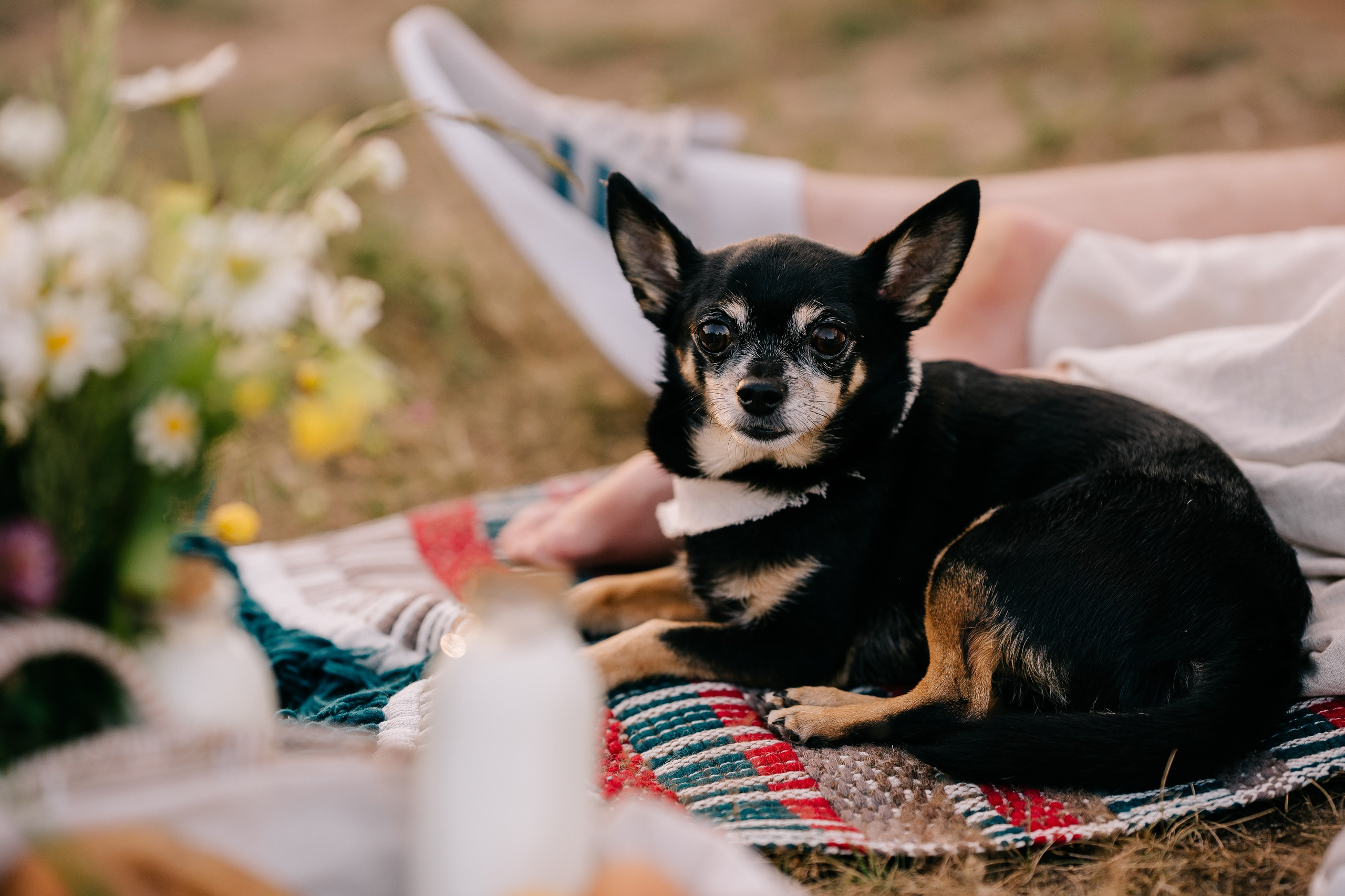 В ожидании самого важного. Свадебный и семейный фотограф Юлия Грибанова +7 909-133-66-33