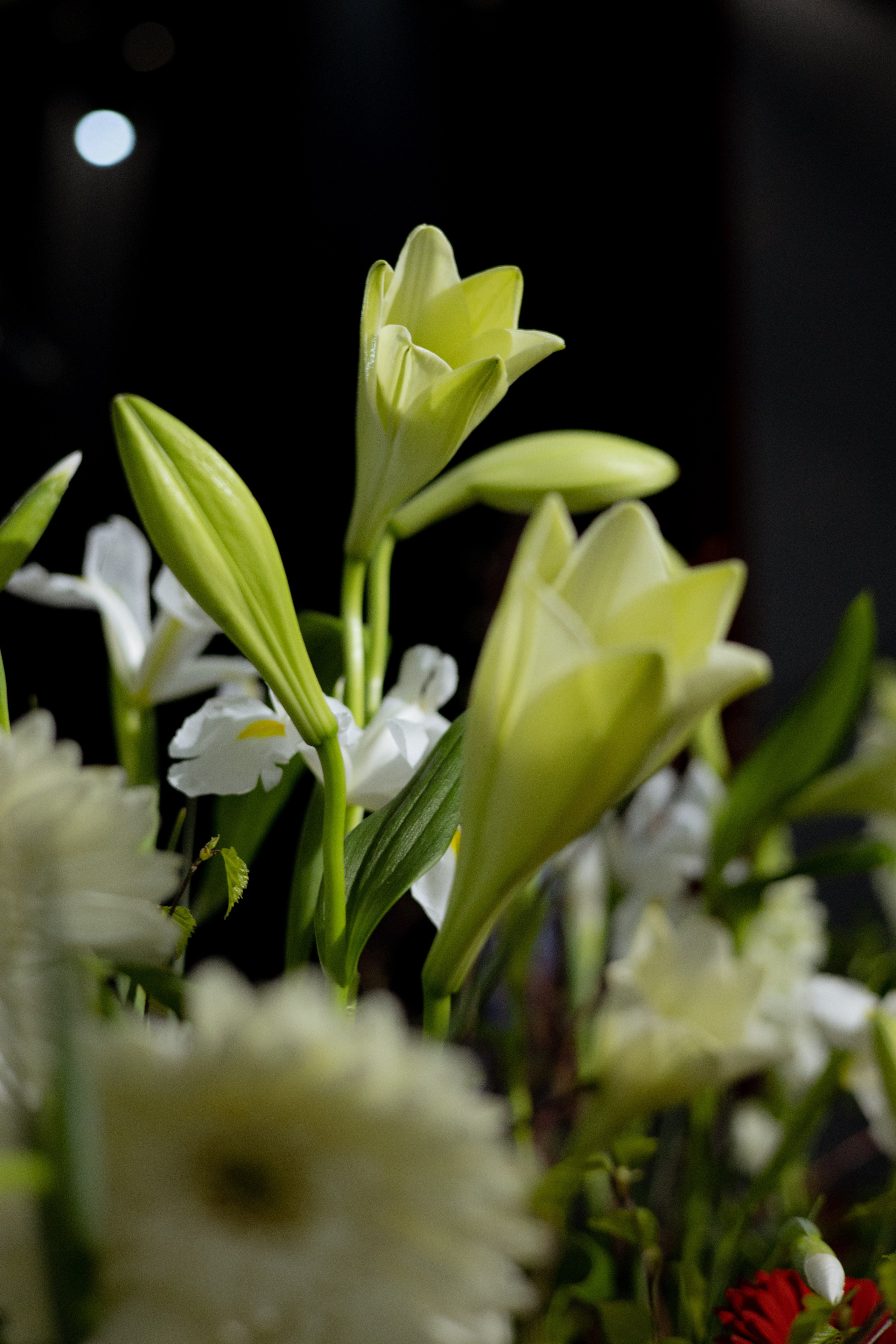 Оформление Отчетного концерта Музыкальной школы Глазунова. Оформление свадеб, декор свадеб Вера Маркова, Москва