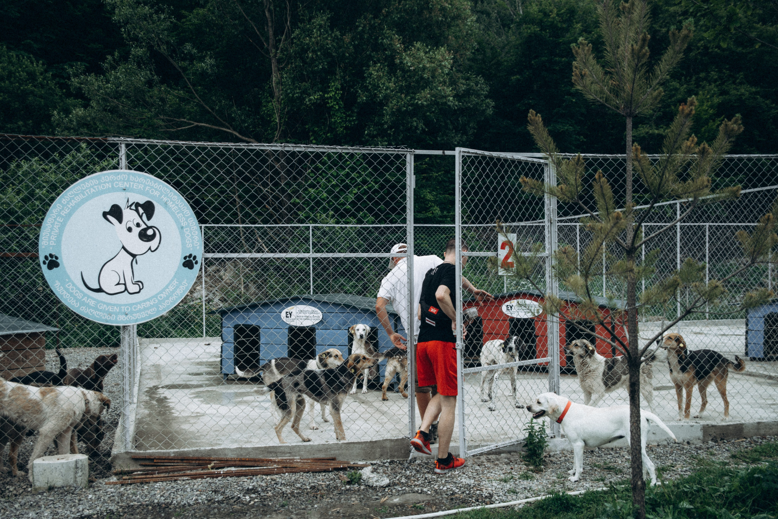 Медвежий приют, Мамкода, Грузия 🇬🇪 «Honey Trip». Anita_photo