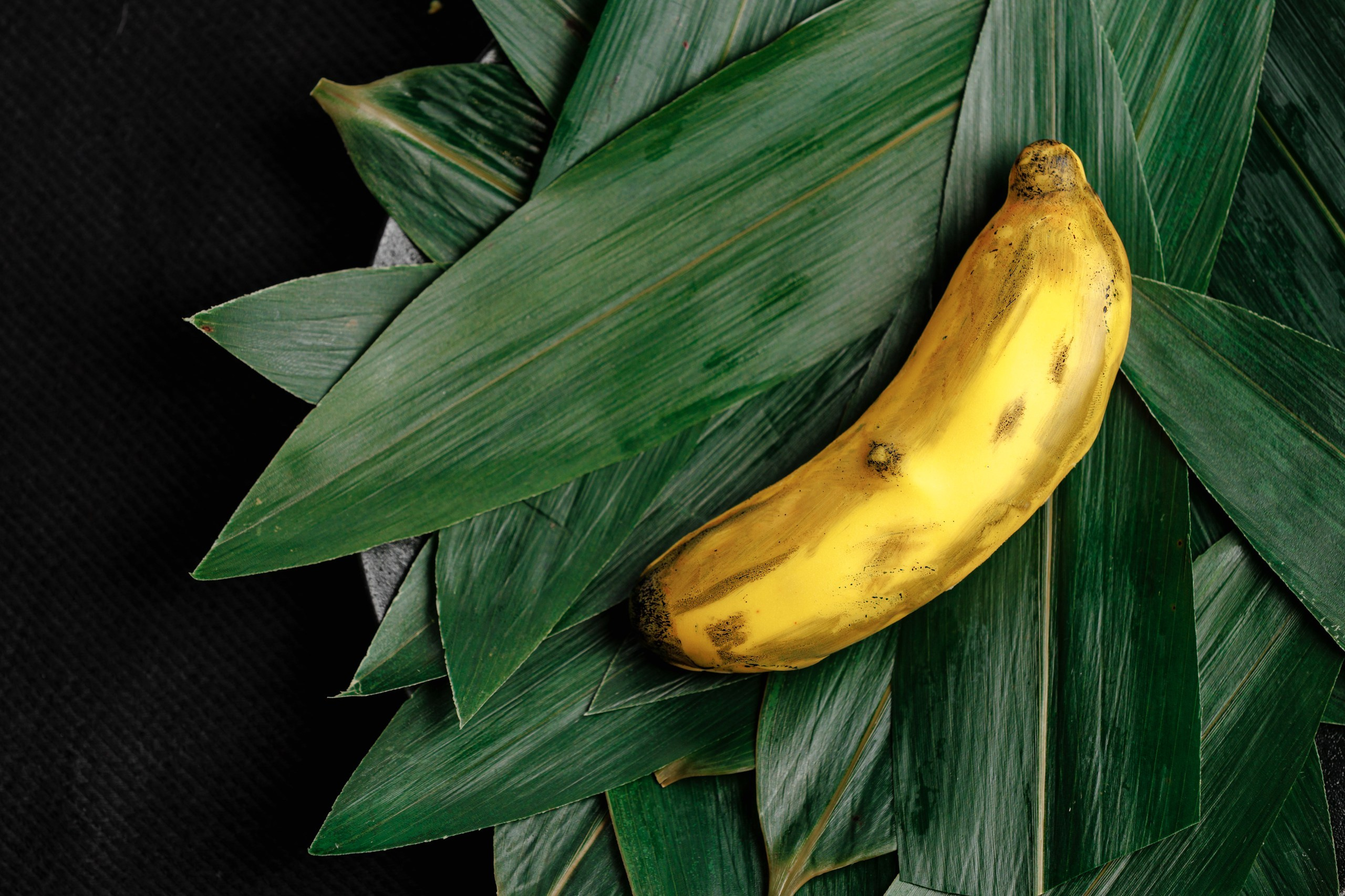 Must. Night2Day Санкт-Петербург