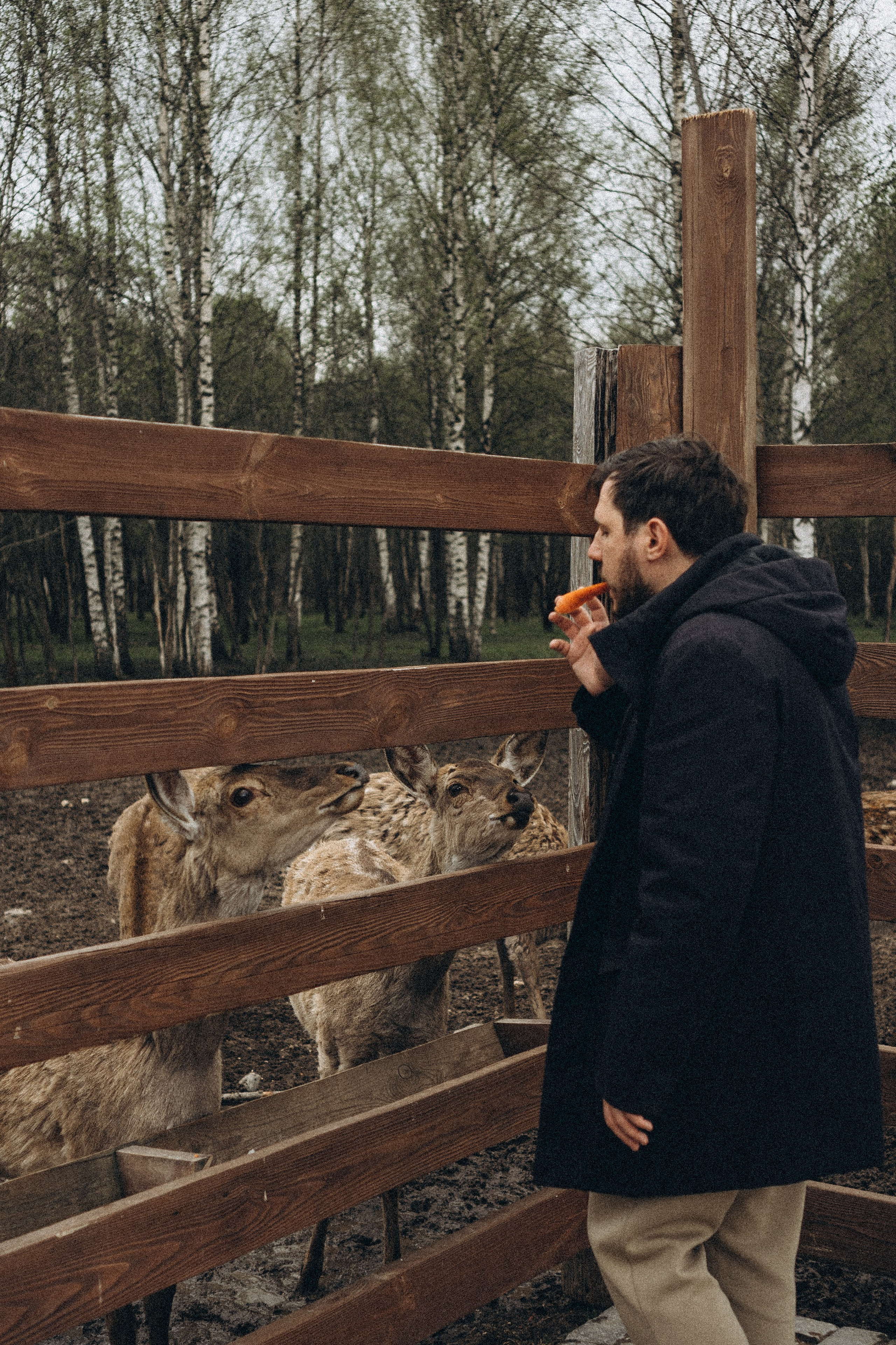 ОЛЕНЬЯ ФЕРМА В ТВЕРИ. Профессиональный фотограф, Санкт-Петербург — Виктория Богомолова