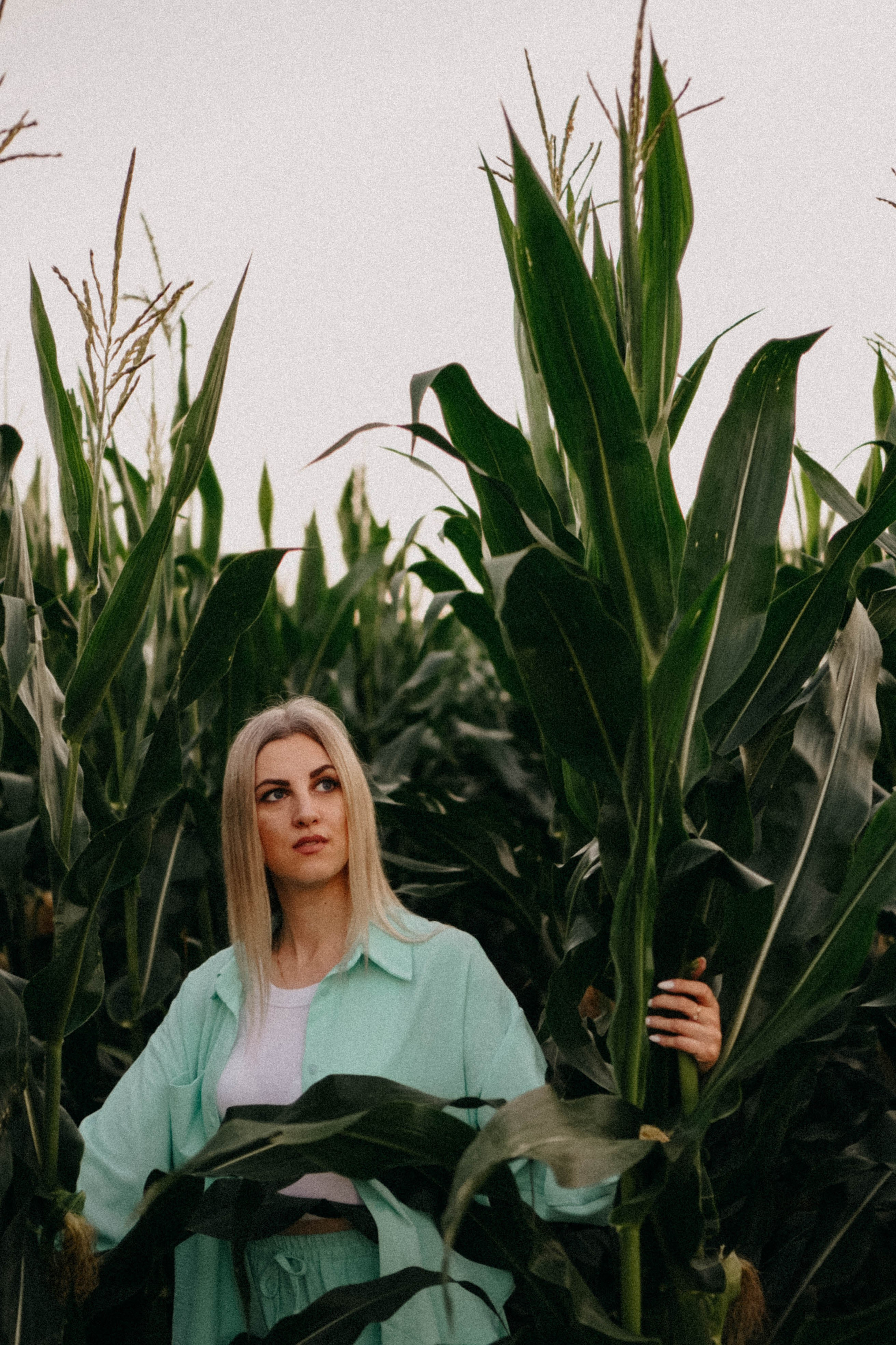 Летний вечер. Профессиональный фотограф, Санкт-Петербург — Виктория Богомолова