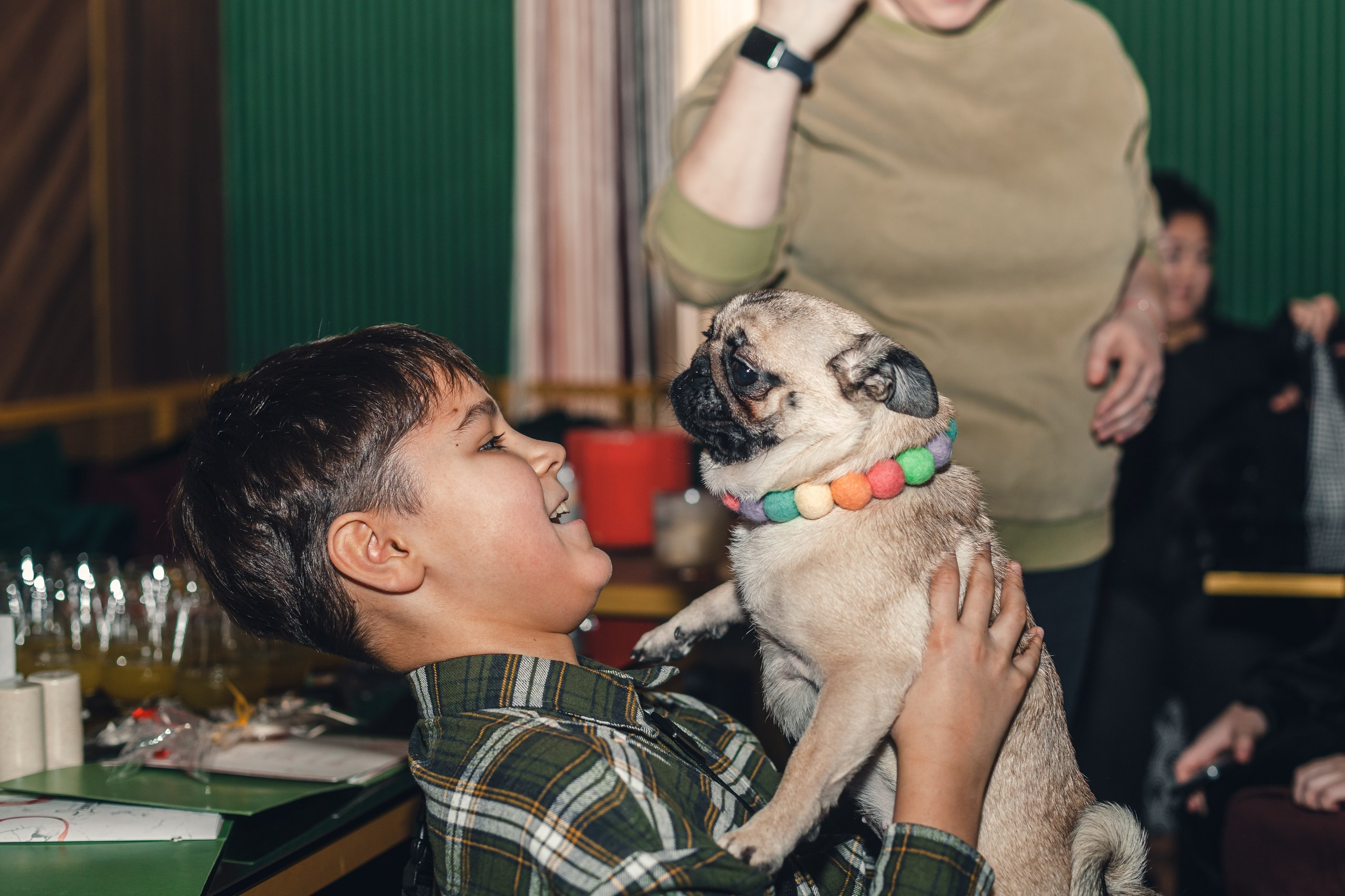 Мопсовстреча 02.12.2023. Фотограф-анималист Татьяна Степанова