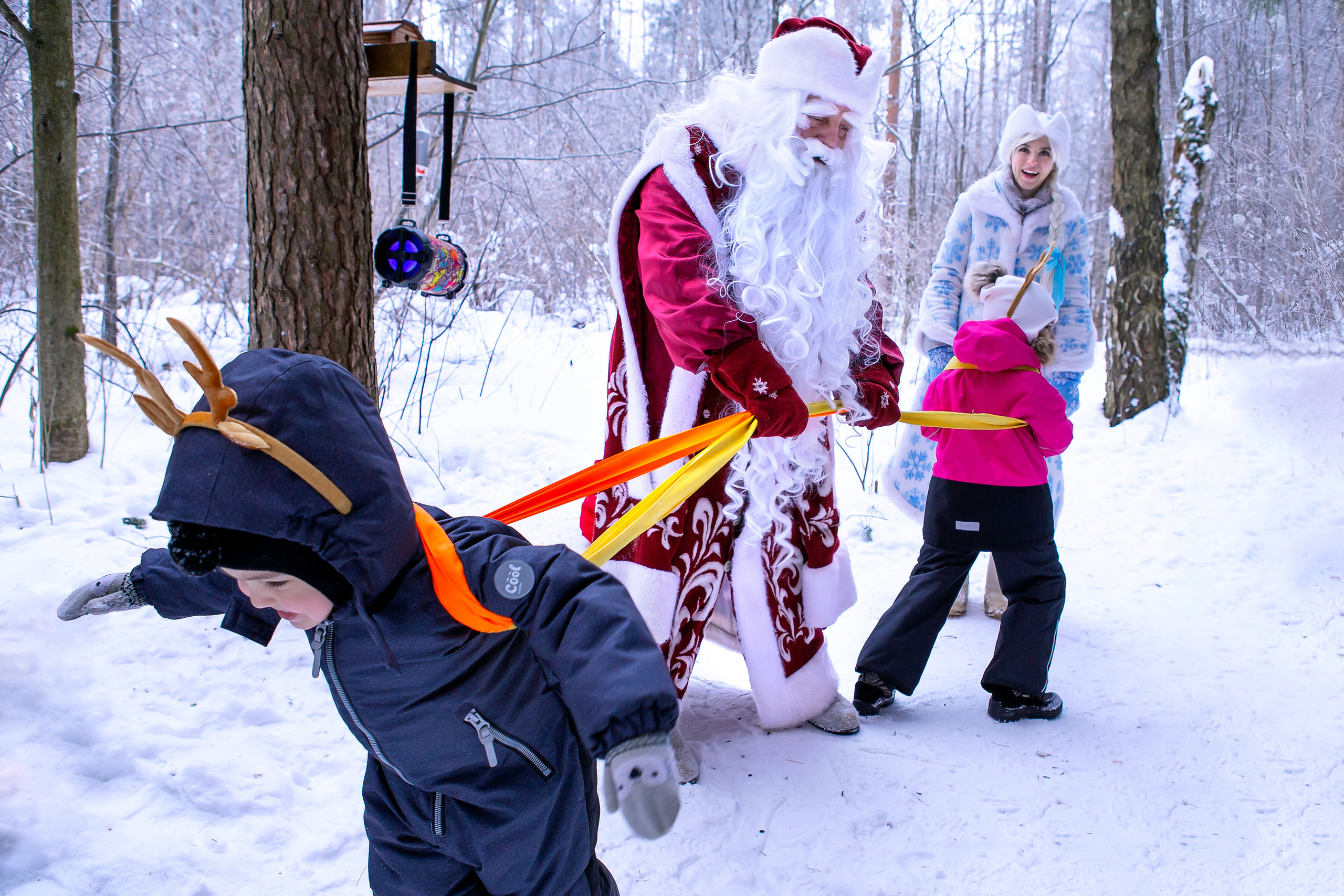 Новый год в лесу. Выпускные альбомы для школ и детских садов