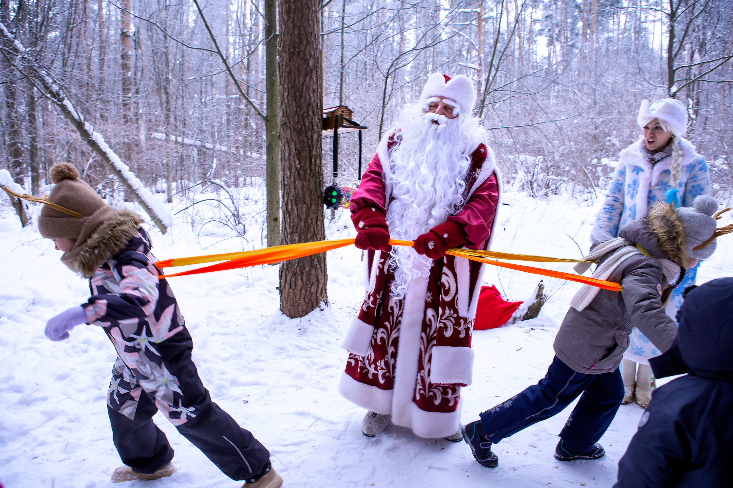 Новый год в лесу. Выпускные альбомы для школ и детских садов