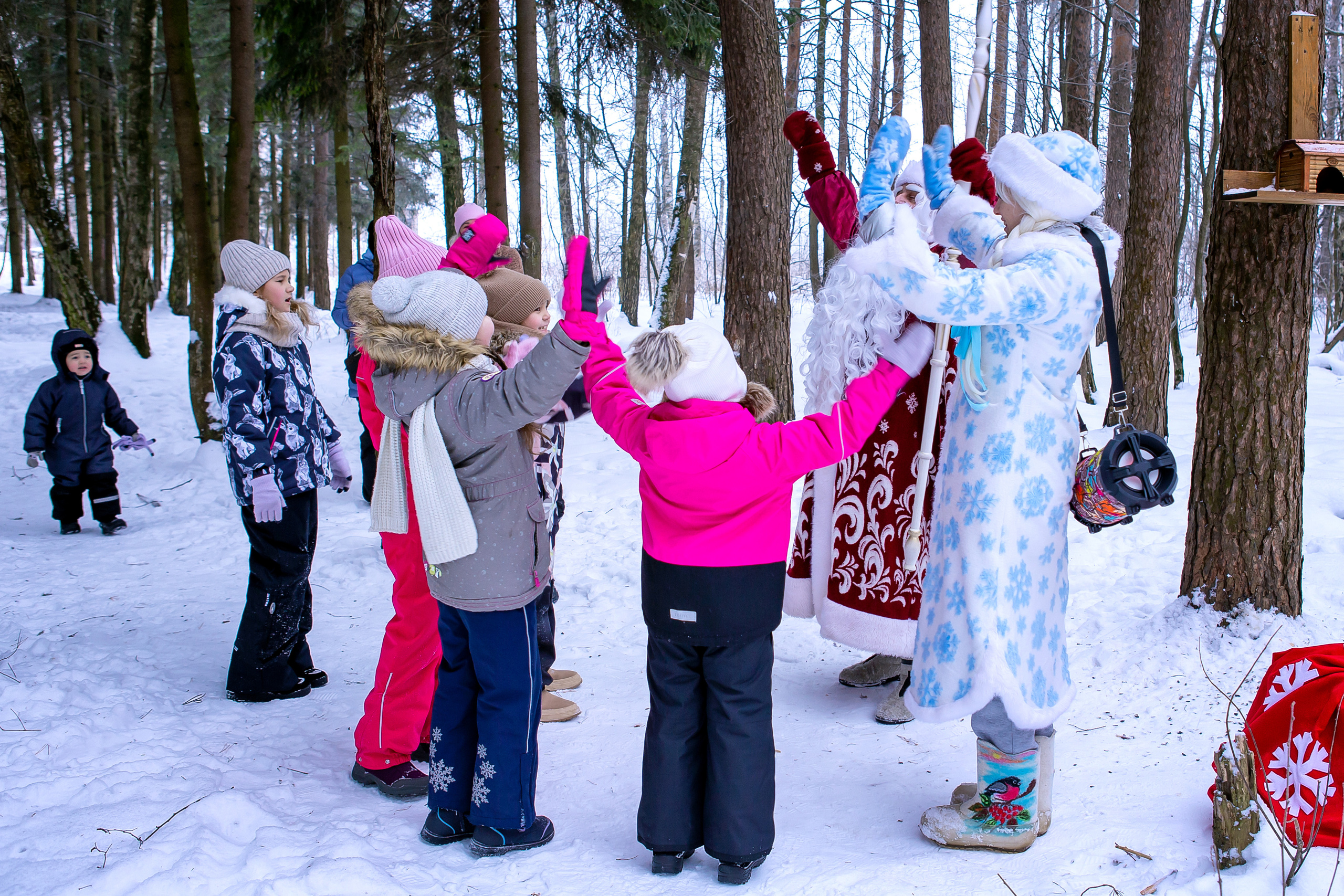 Новый год в лесу. Выпускные альбомы для школ и детских садов