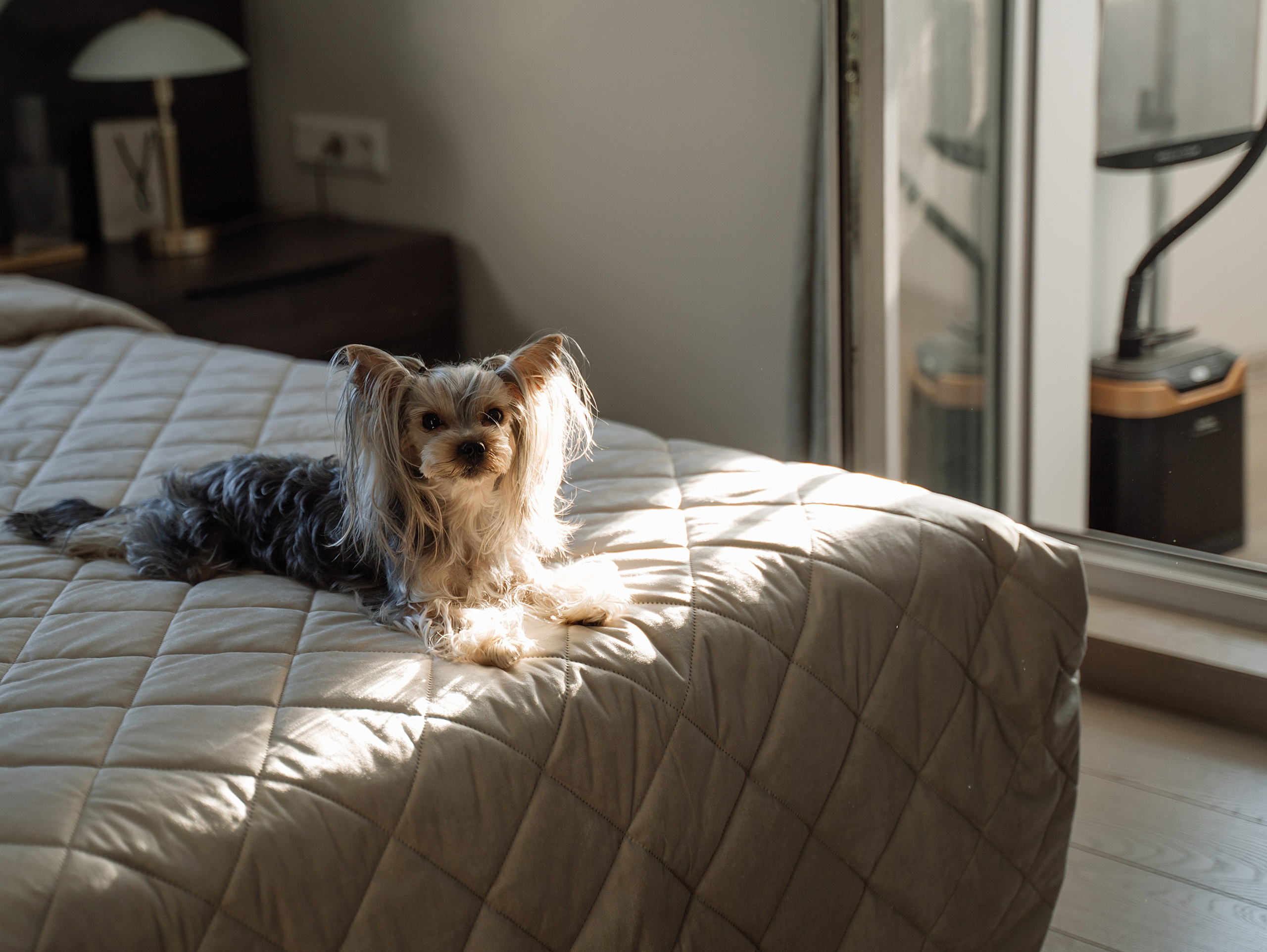 Свадьба в стиле Танго. Свадебный фотограф