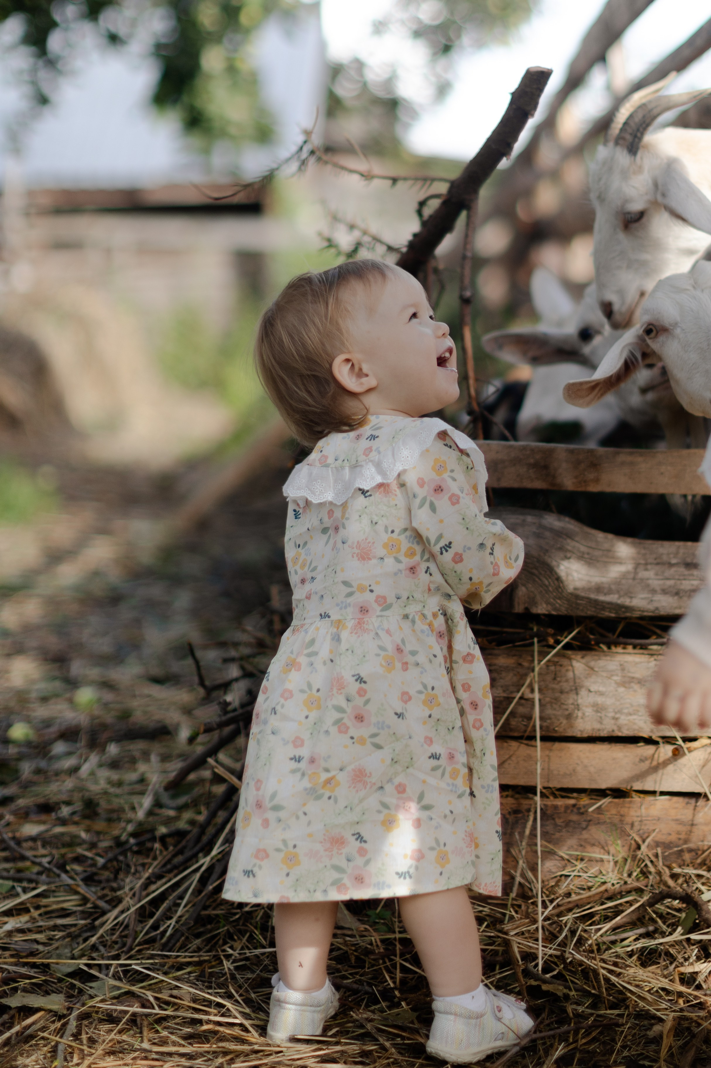 Летние. @dariazphotodays