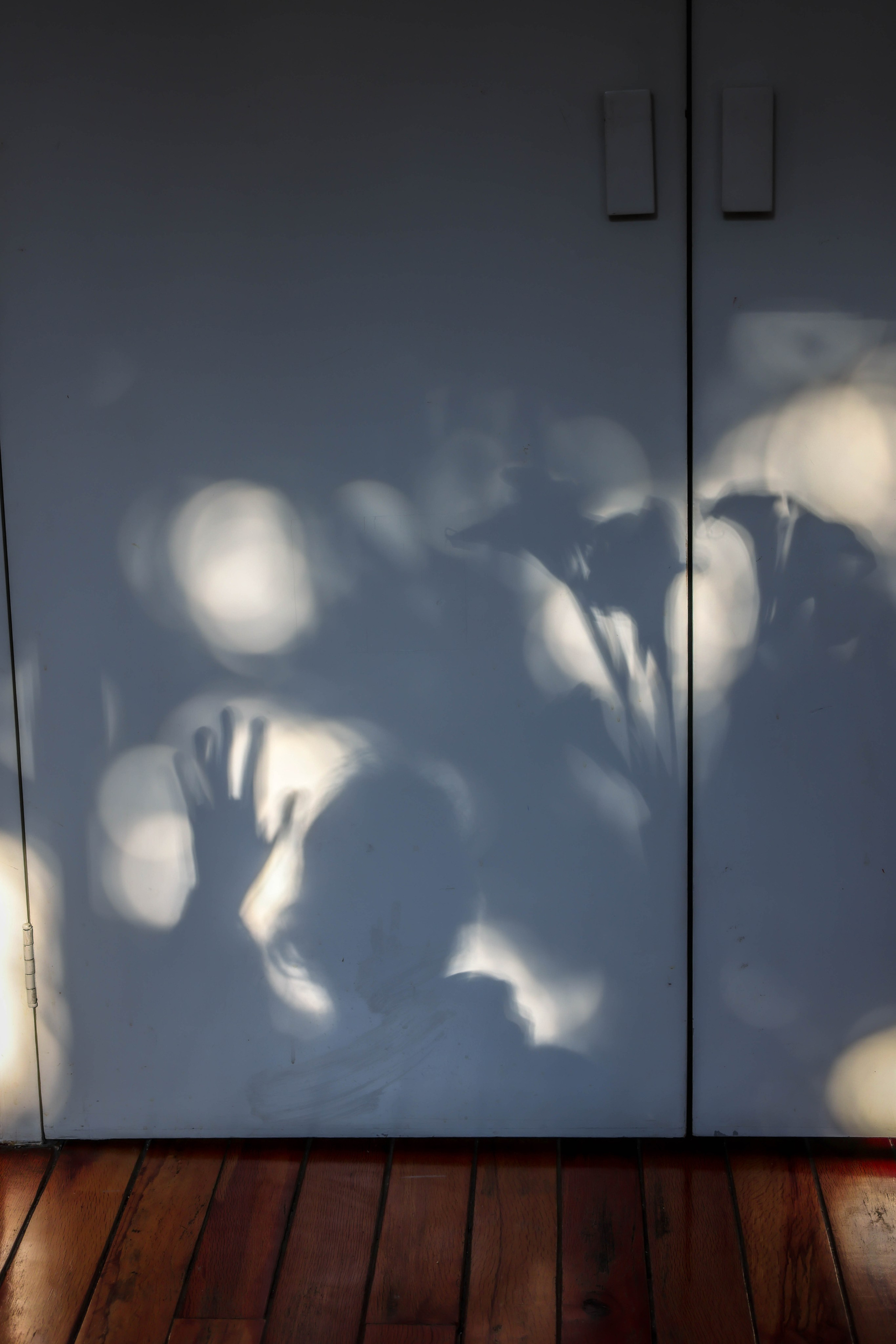 Стихия танца. Kateserbina