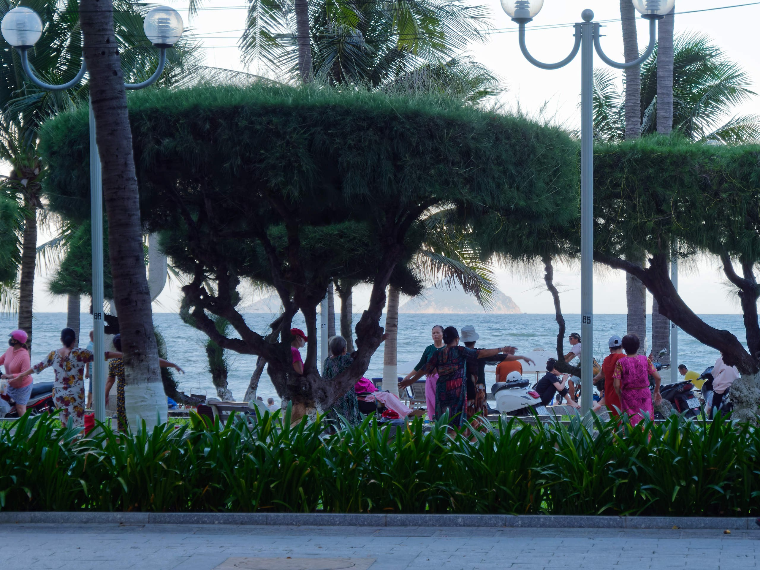 Нячанг 2023. Избранные фотографии