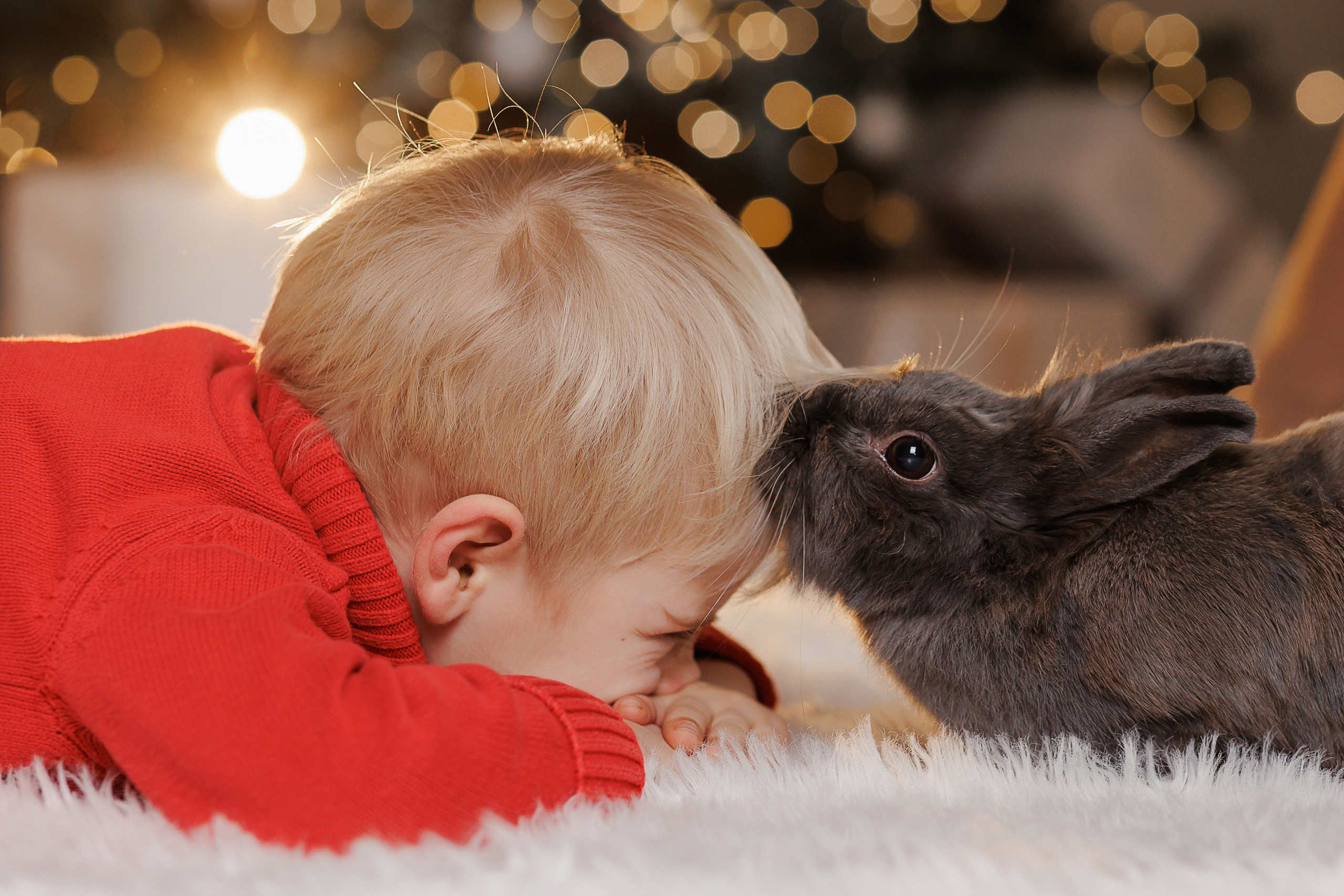 Новогодняя фотосессия в Твери. Свадебный и семейный фотограф в Твери и Тверской области