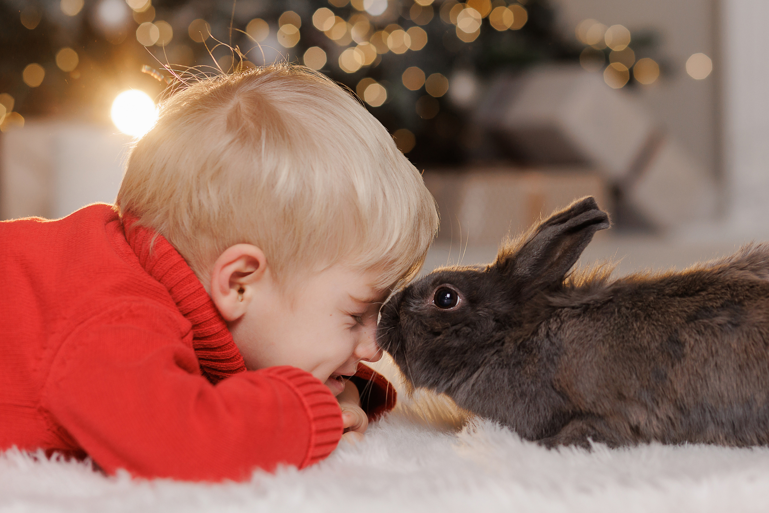 Новогодняя фотосессия в Твери. Свадебный и семейный фотограф в Твери и Тверской области