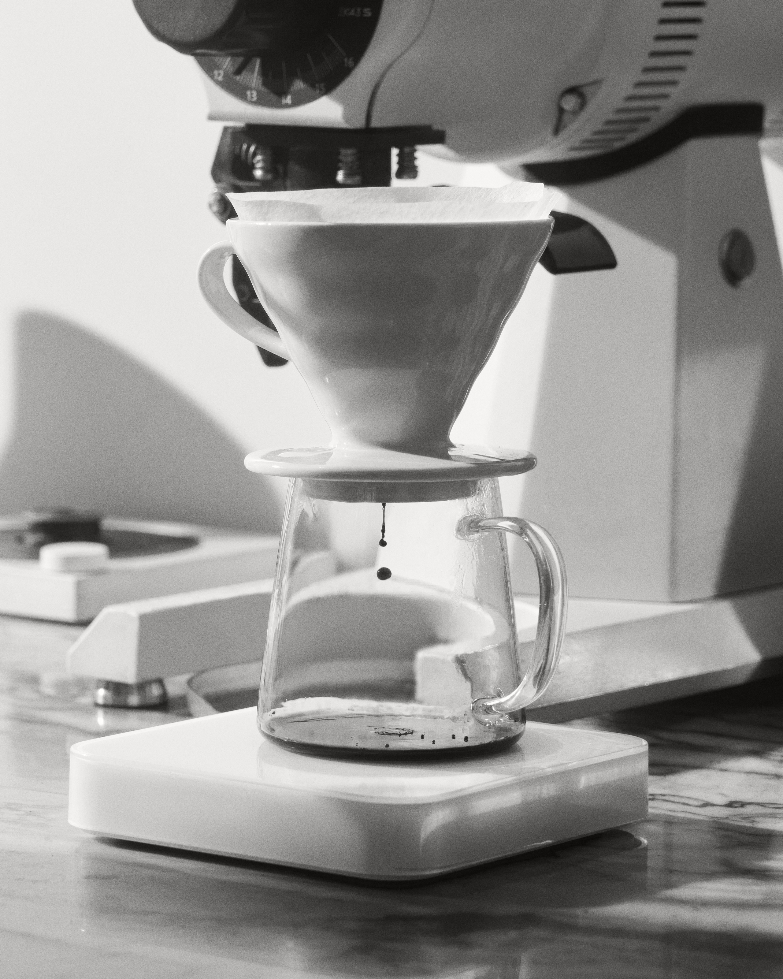 Content for ABC COFFEE ROSTERS. Nadezhda Diskant is a Moscow and Saint Petersburg based photographer