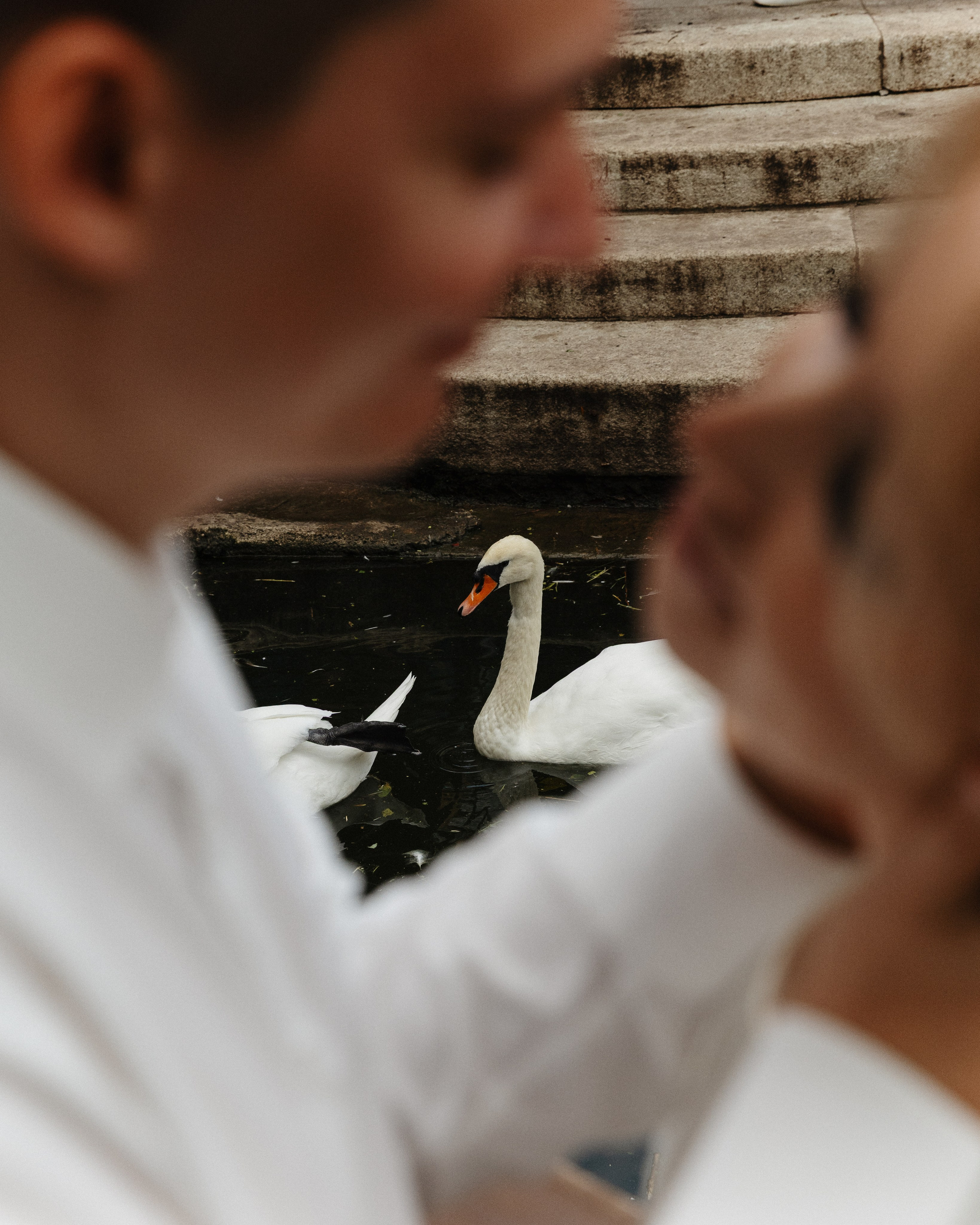 Дмитрий & Динара