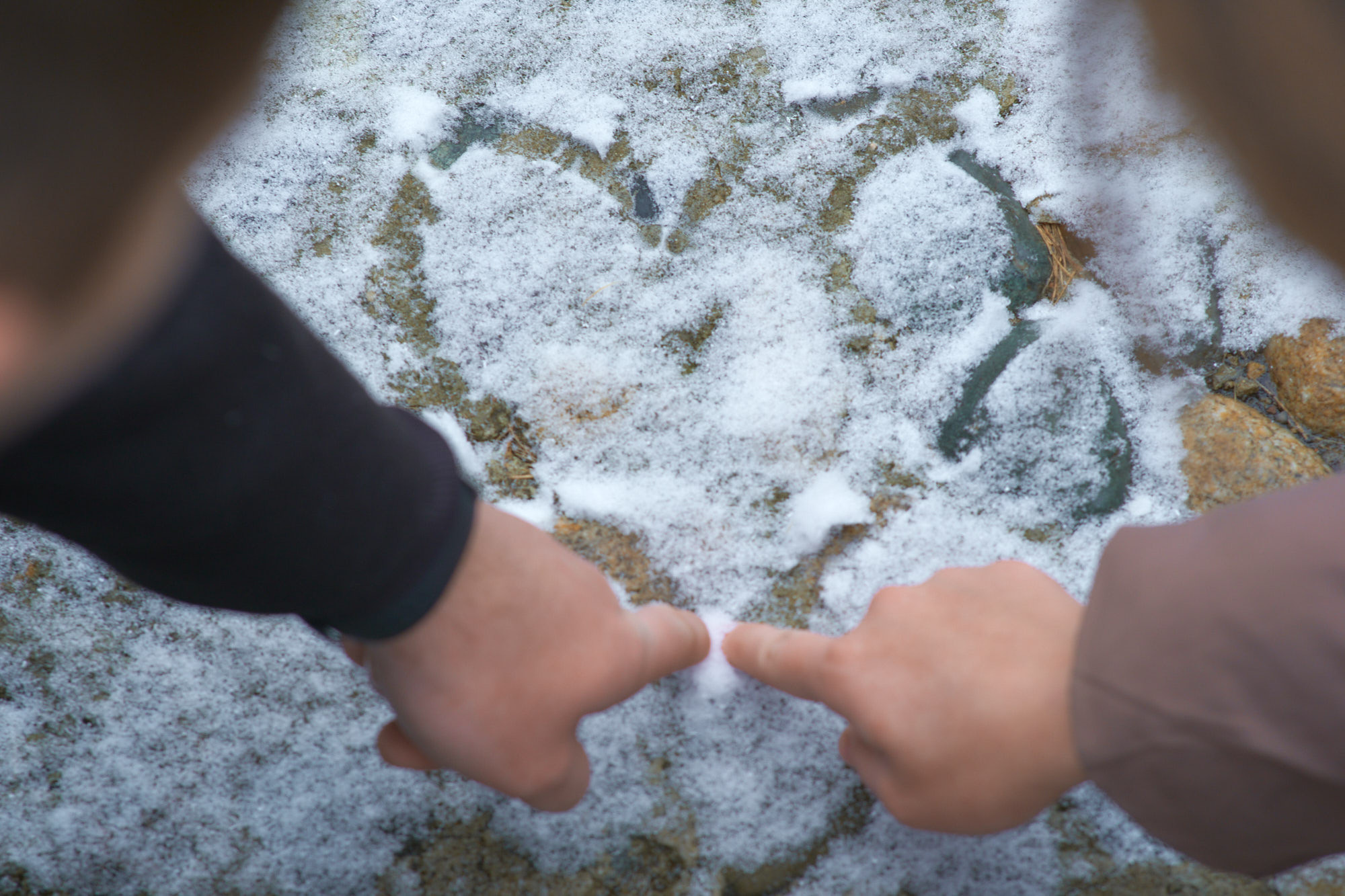 Романтическая прогулка_Лиза и Сергей. Семейный и женский фотограф в Новомосковске и Узловой Михеева Татьяна
