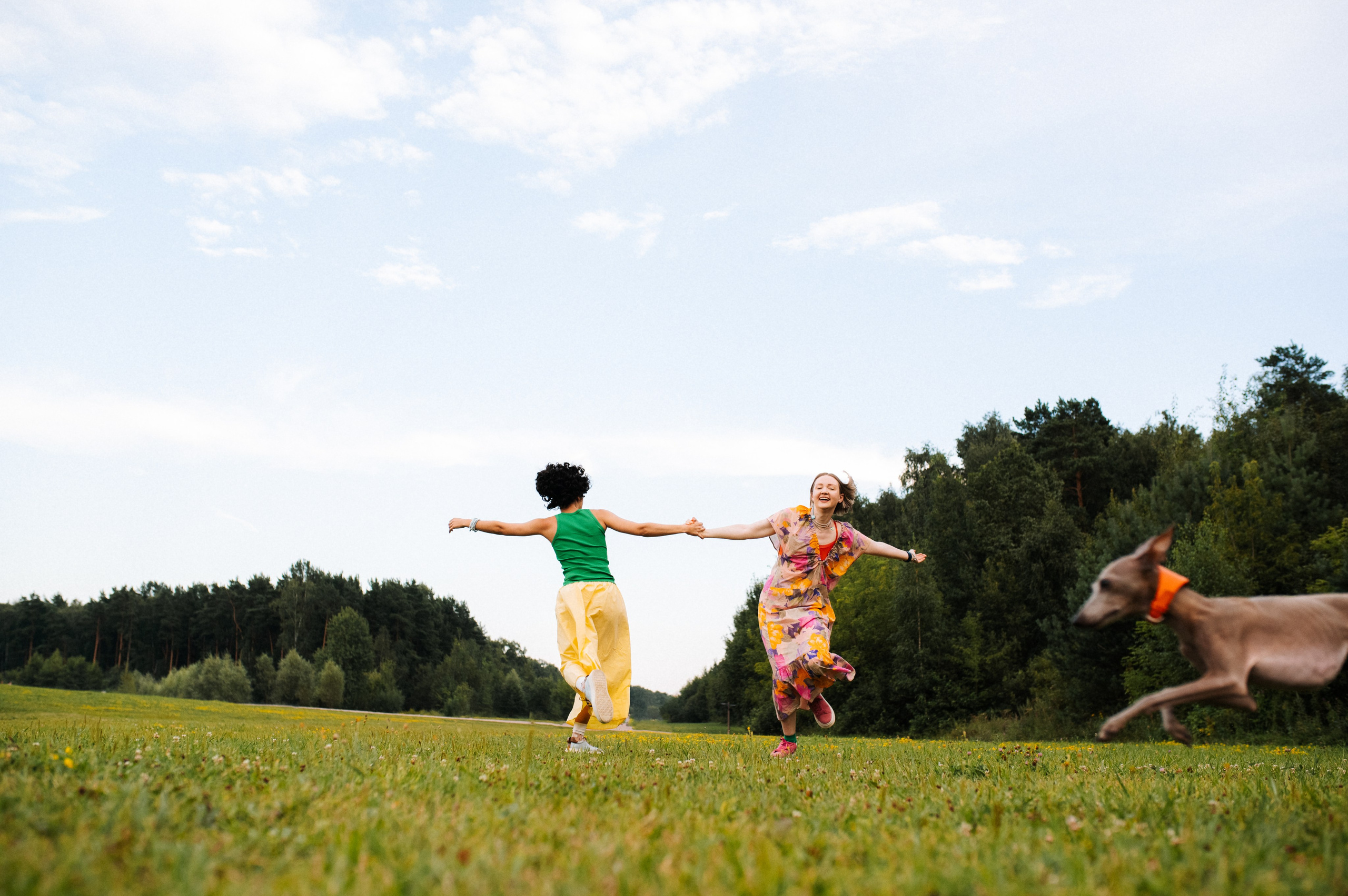 Хвост, смех и лучшие подруги. Фотограф анималист в Москве Ольга Агушева
