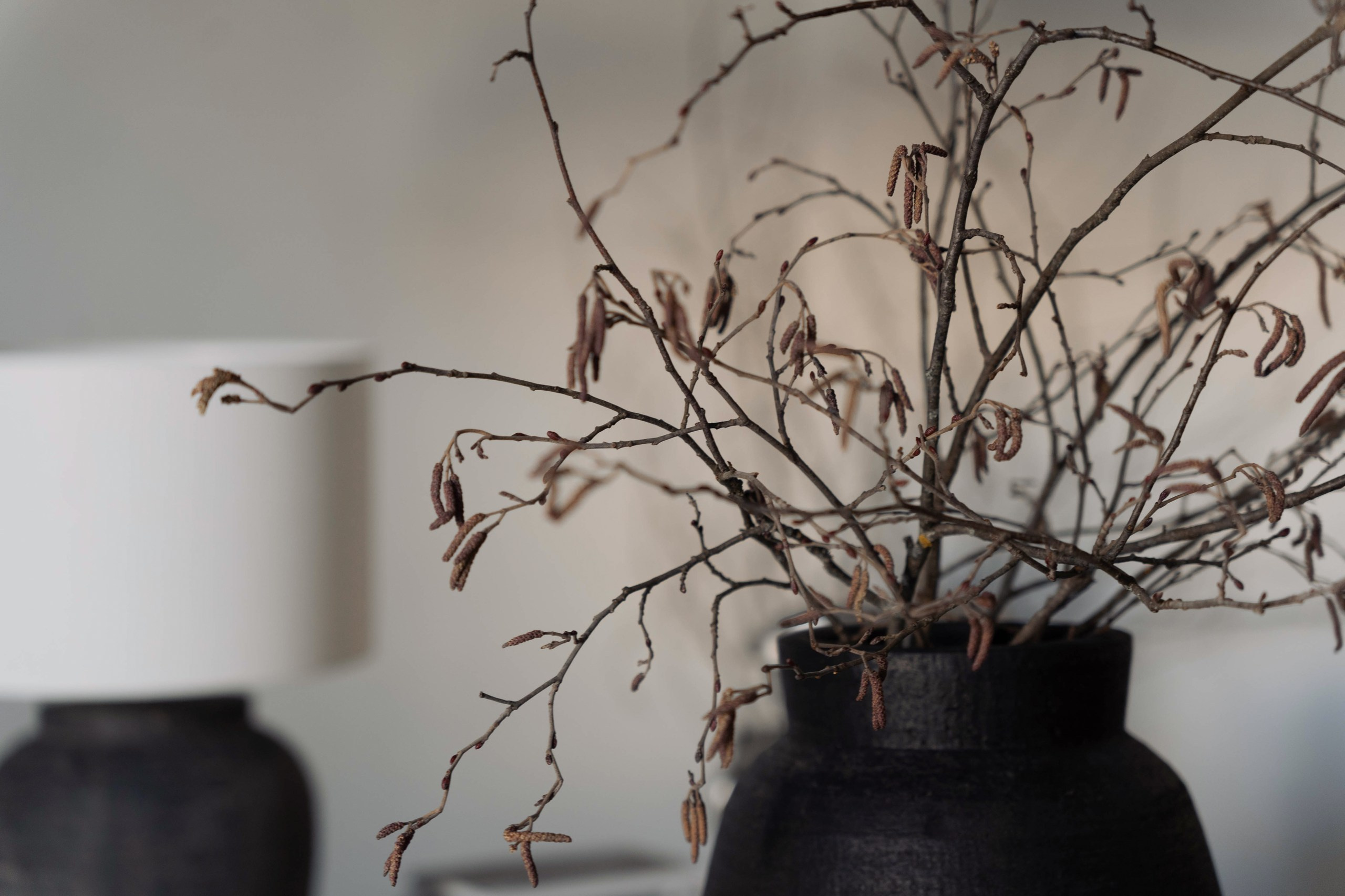 Для кулинарной студии «Эклер». ФОТОГРАФ КСЕНИЯ СОСНОВСКАЯ