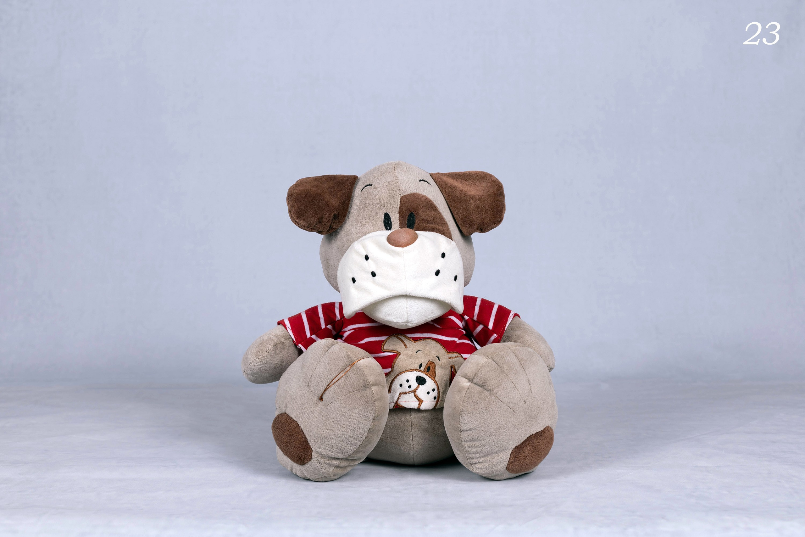 Фоны. Фотограф-анималист в Омске Екатерина Маричева