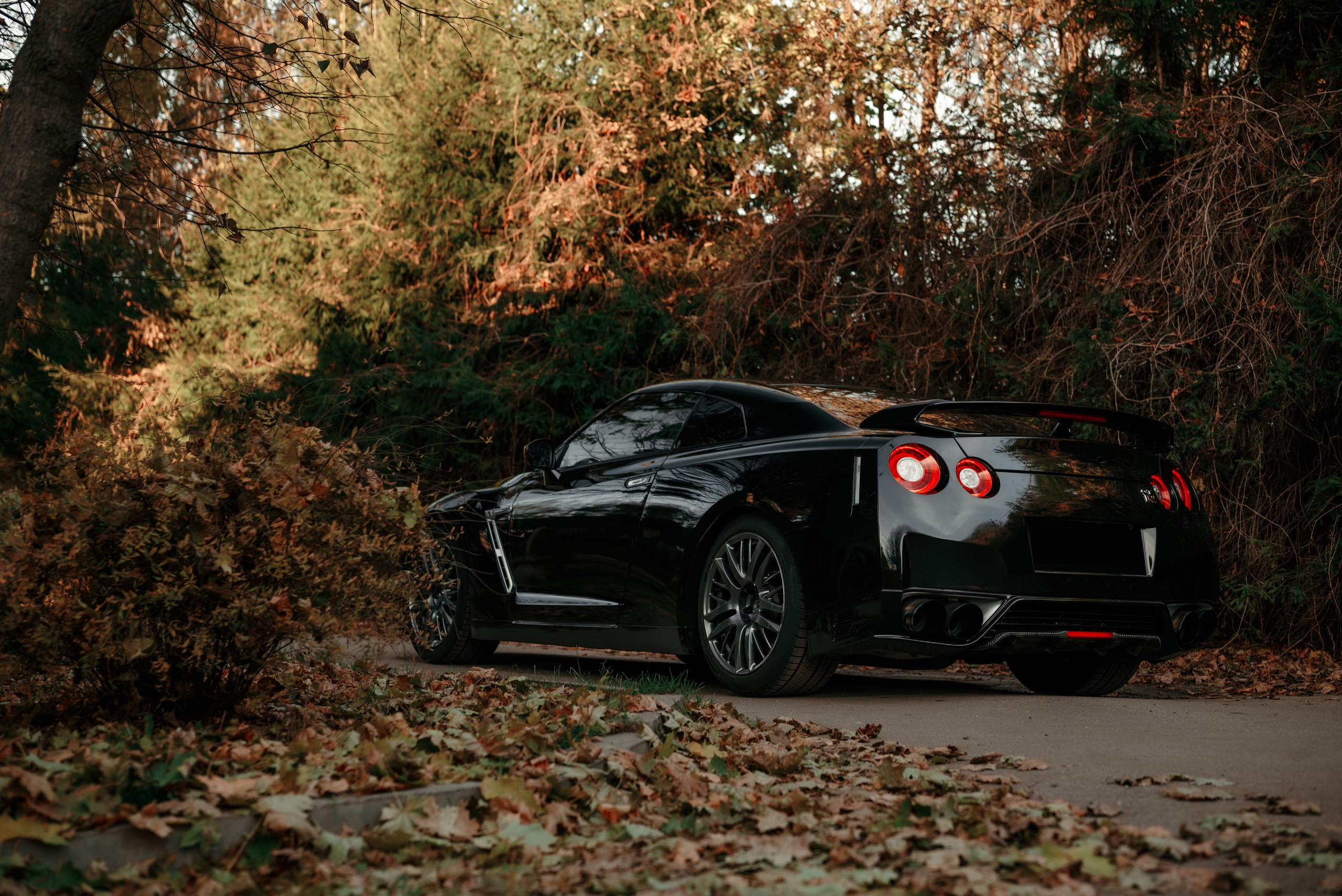 Nissan GT-R35 autumn vibe. DeLorein