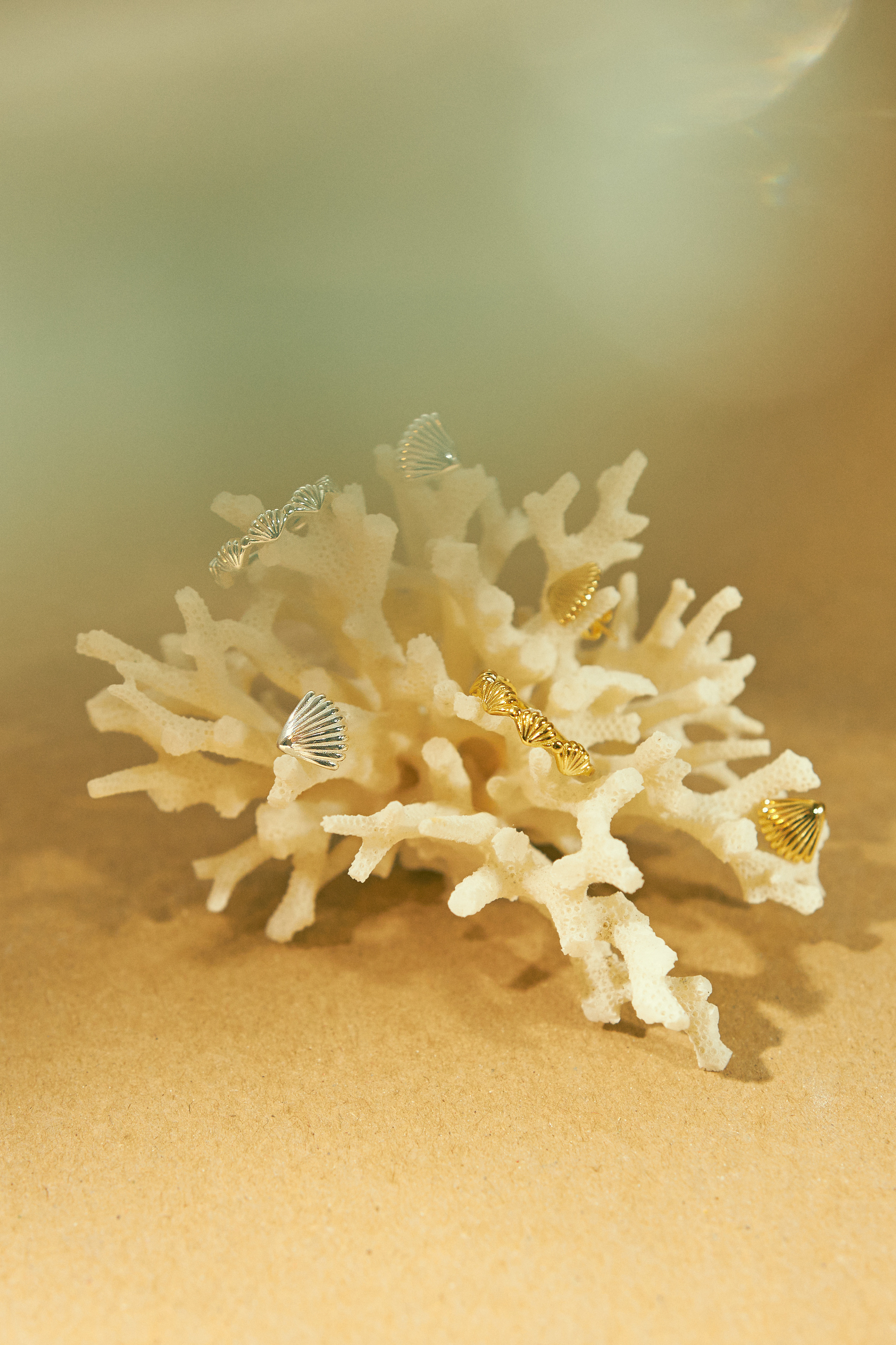 RASSVET DETAIL. Предметный фотограф Москва Глухарёва Оля