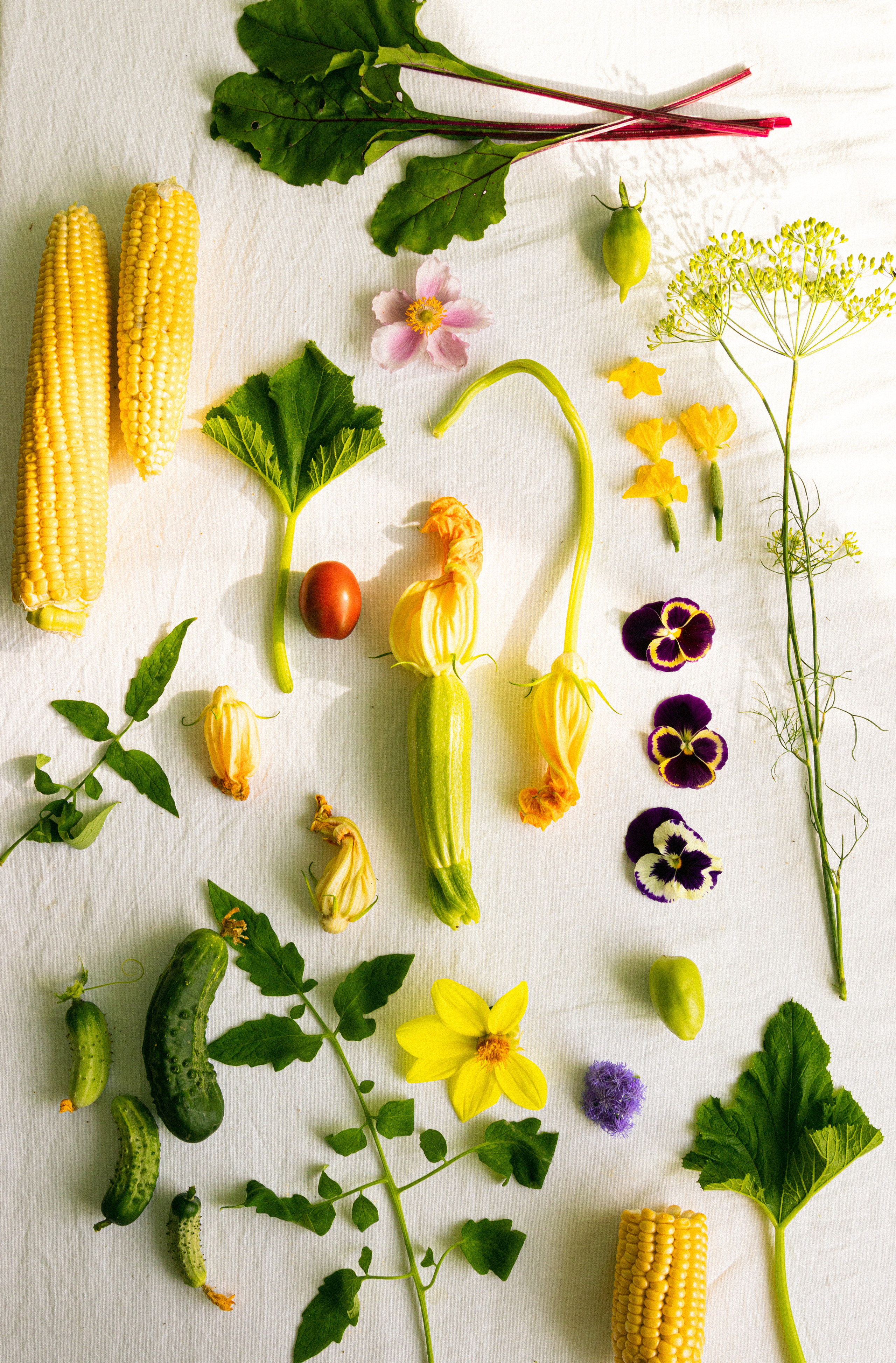 Фуд сьёмки. Предметный фотограф Москва Глухарёва Оля