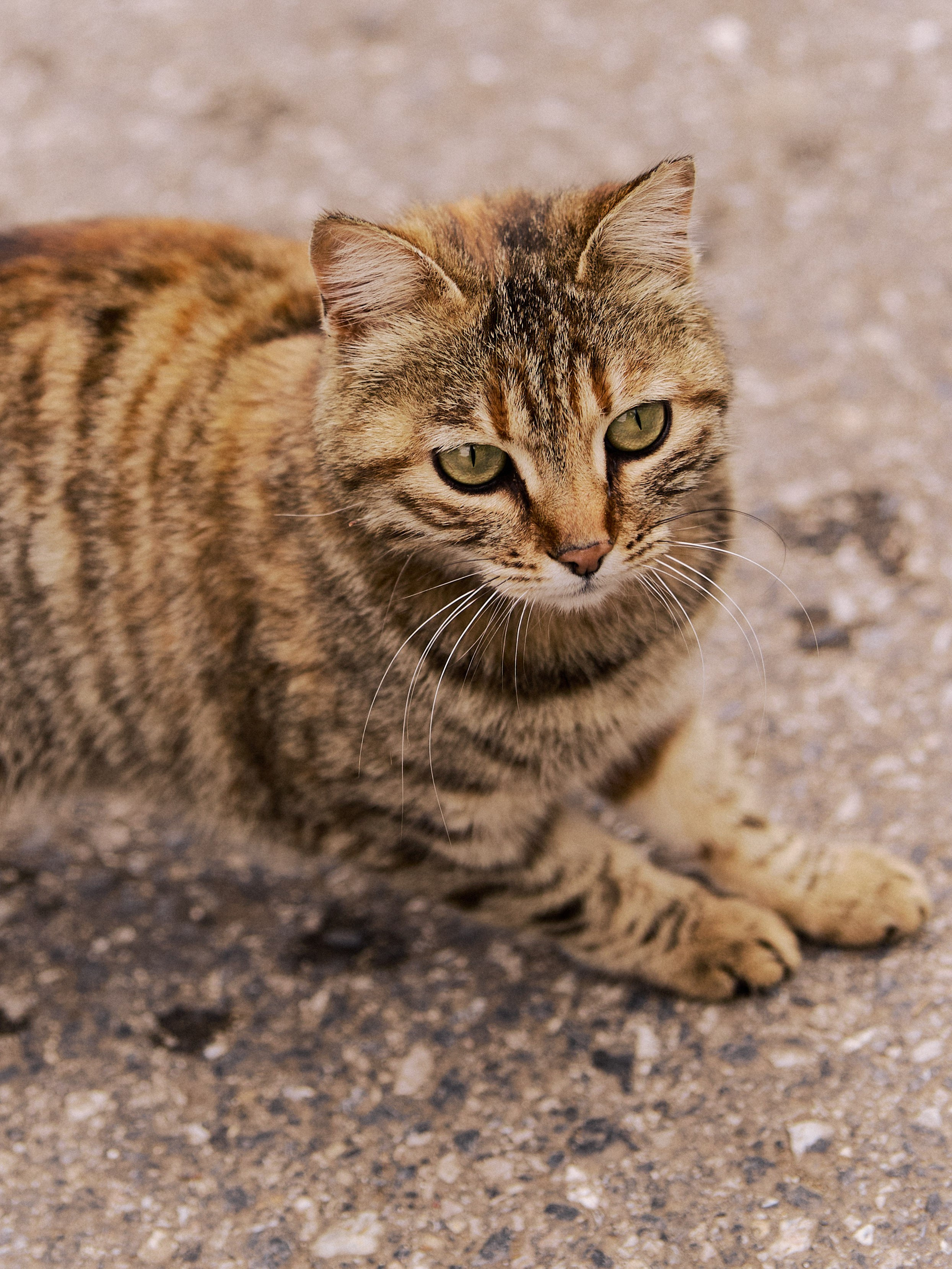 Диптих. Jorgis — фотограф в Хургаде / обучение фотографии