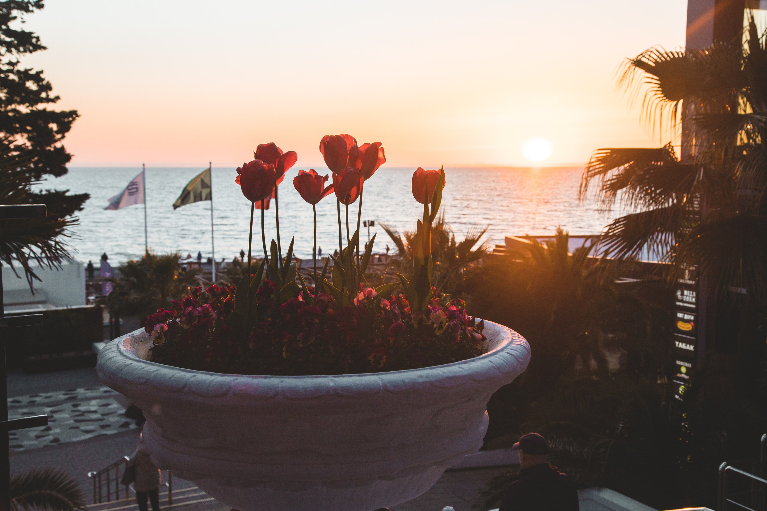 Света и Дима на Ривьере (Сочи. Апрель 2025 г.). Фотограф Сочи, Адлер, Красная Поляна — Вероника Радченко