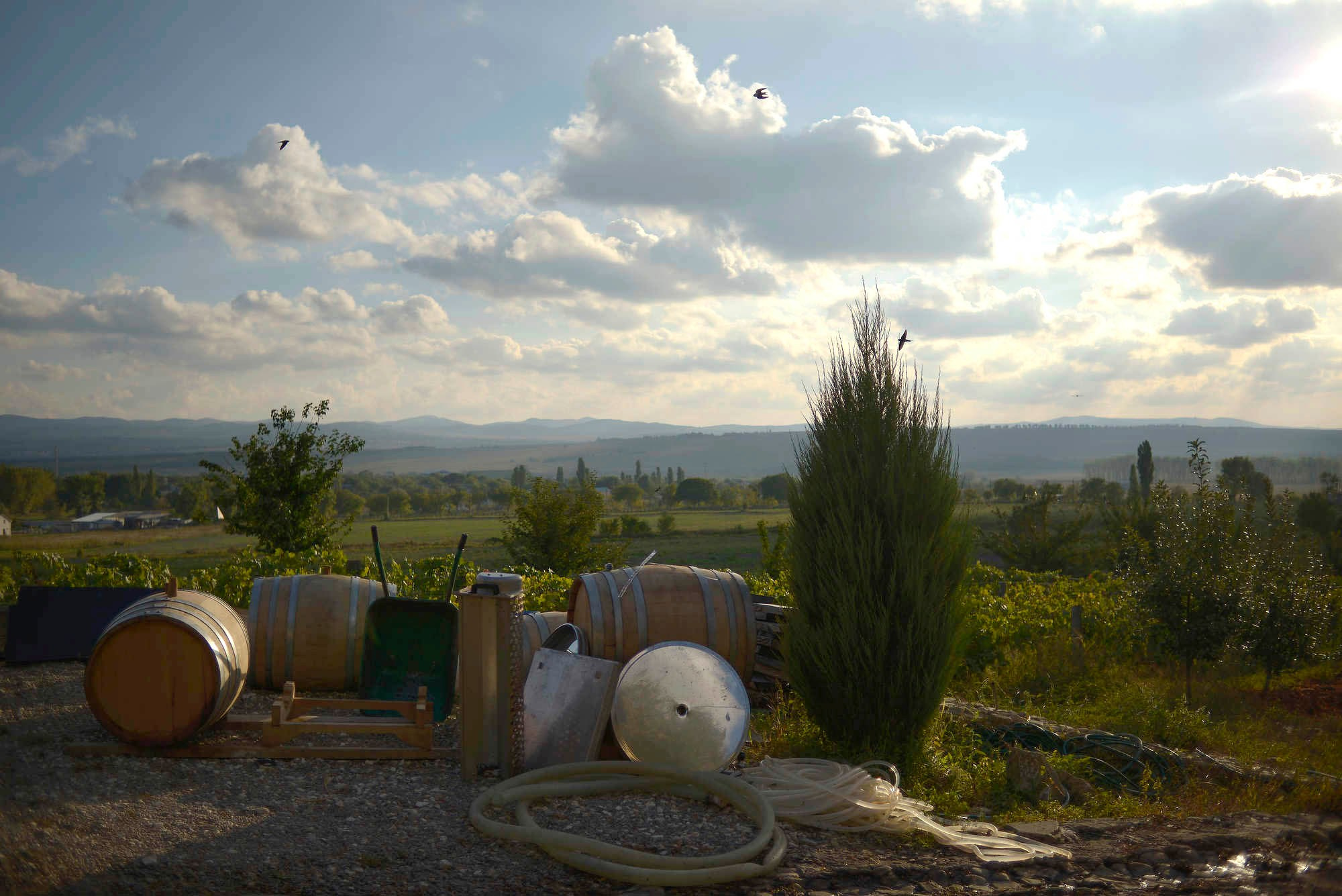 Съемка архитектуры. Фотограф Михаил Мордасов, Сочи. Мероприятия, портреты, спорт, репортаж