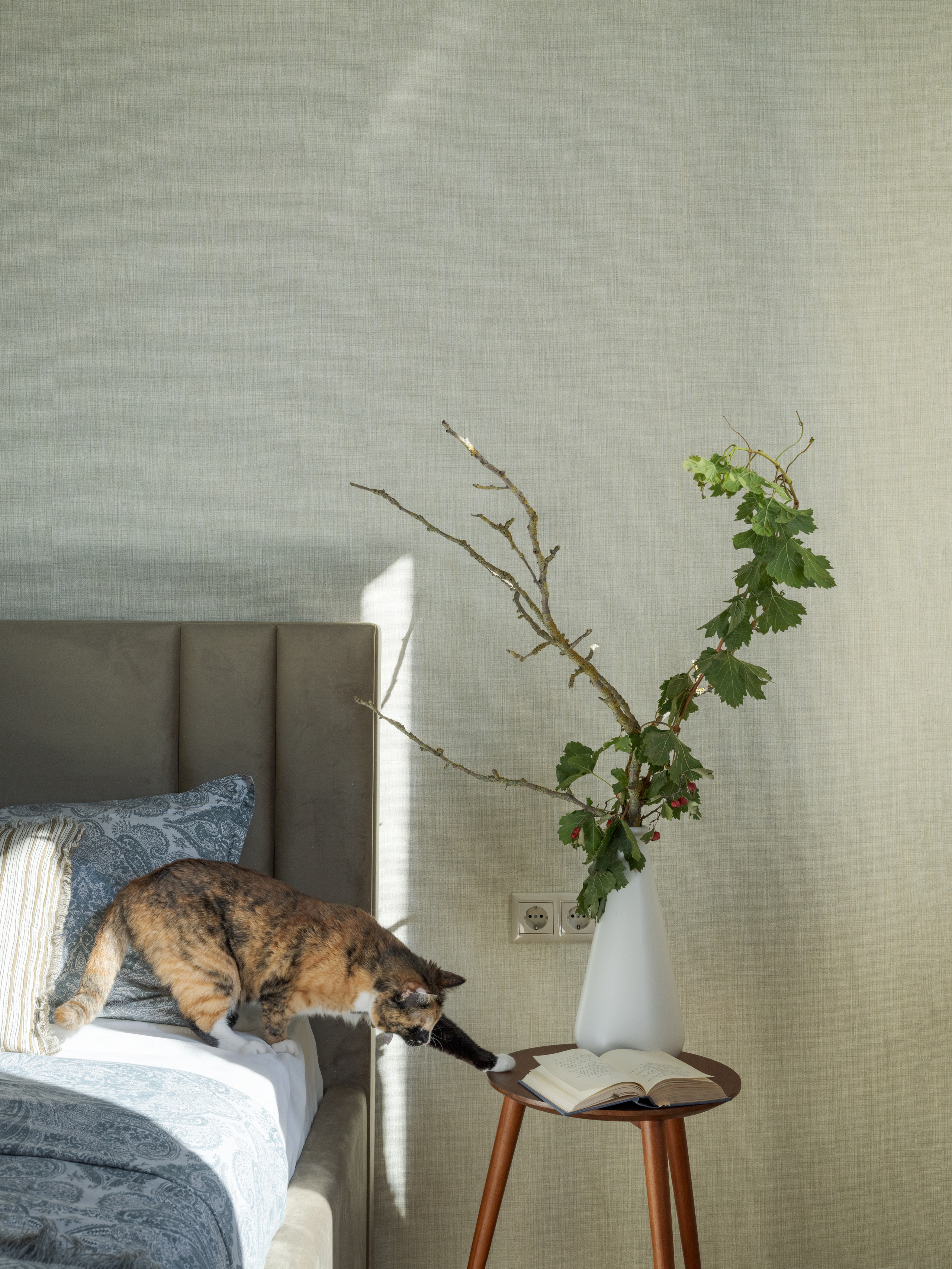 Портфолио. Дизайнер интерьера Ксюша Шакирова, создание дизайн проектов под ключ