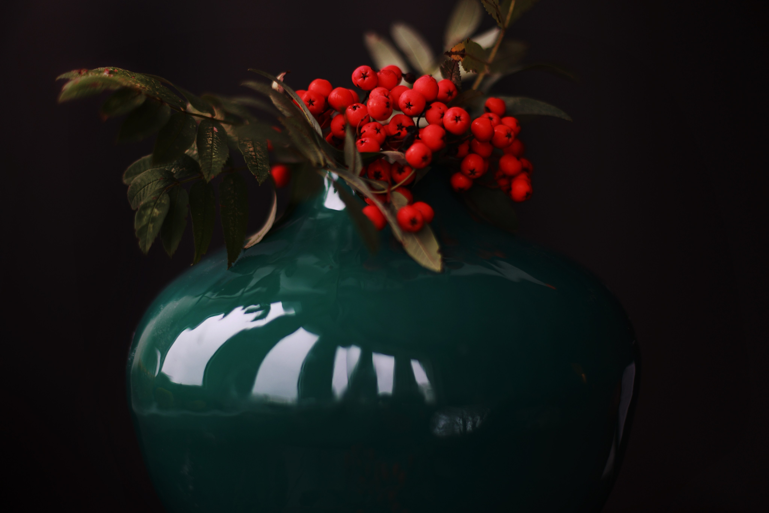 Натюрморт. Фотография как кино