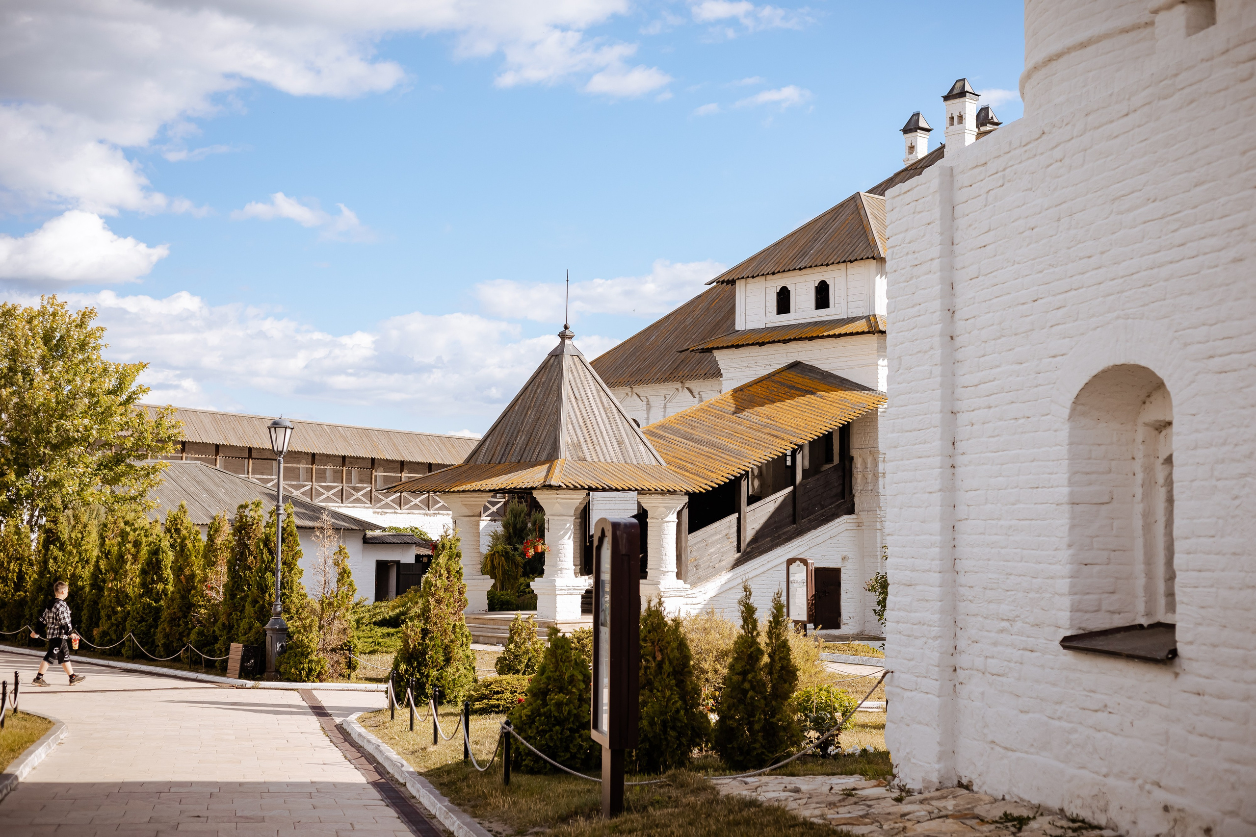 Фотосъемка собак, щенков, на выставках, фотограф анималист Россия воронеж. Питомник собак Акита, Хаски, Корги