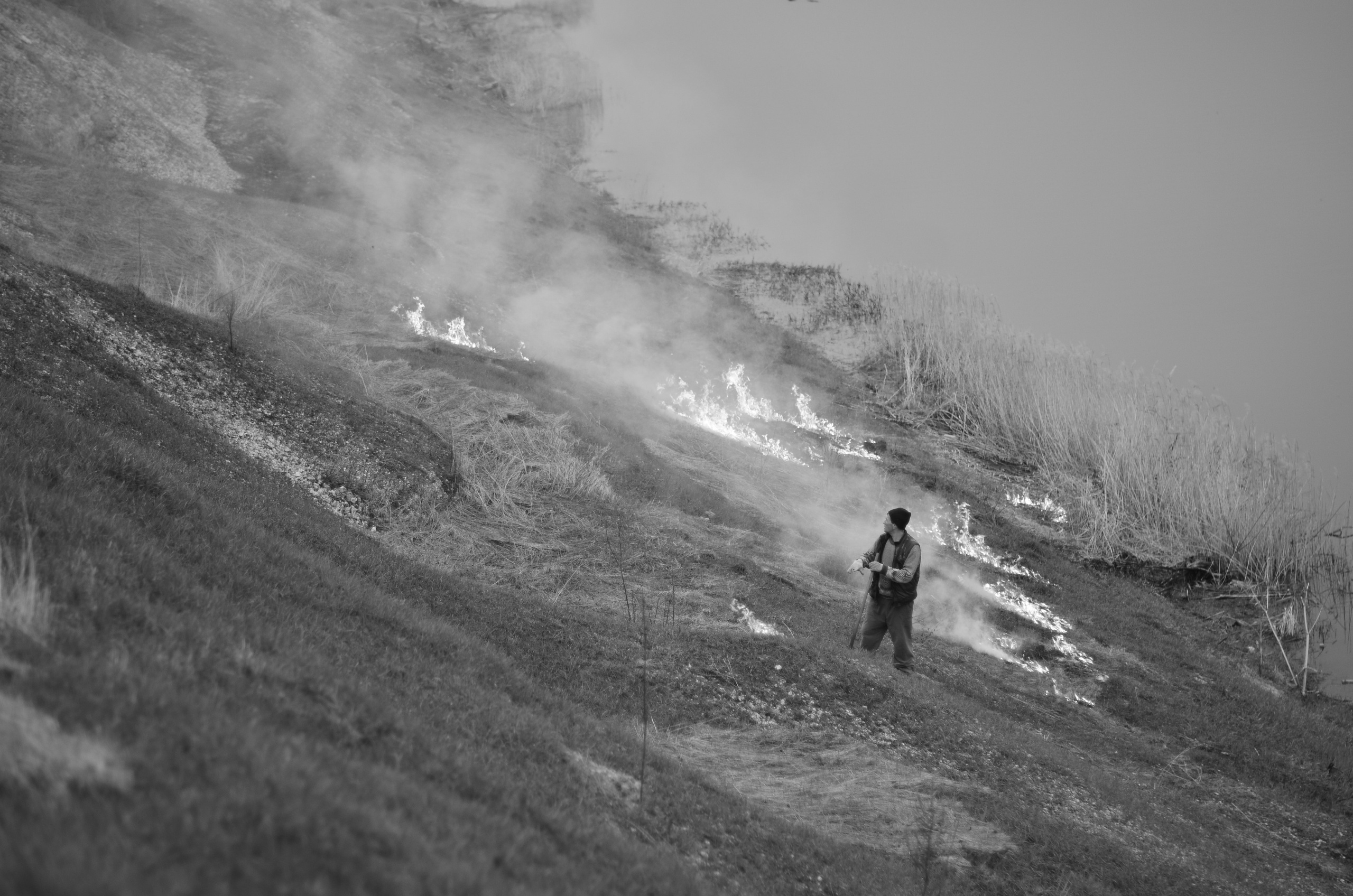 Пожары. Анна Хвалина