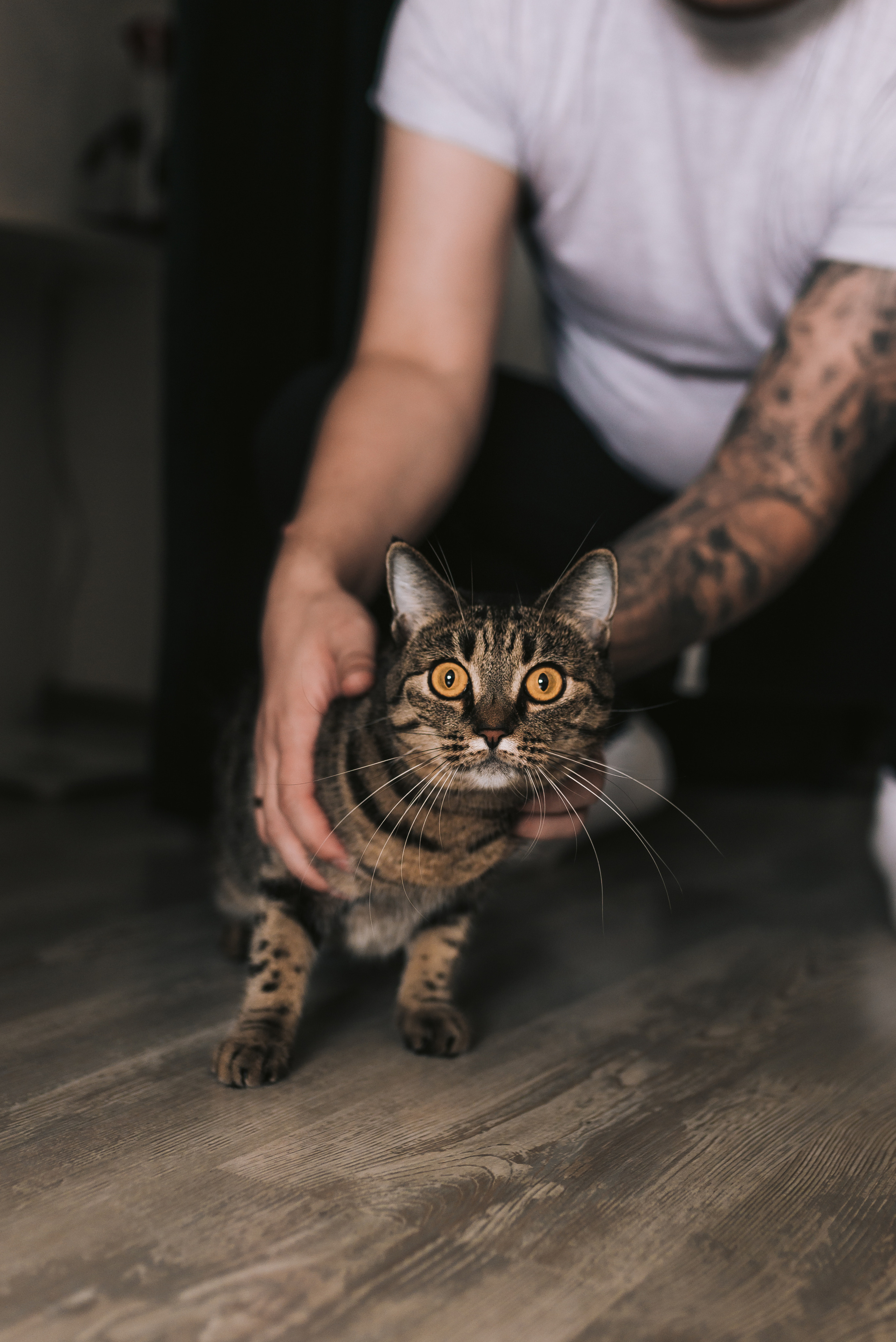 Марина, Антон & Варюша. Семейный фотограф в Санкт-Петербурге | Баранова Галина