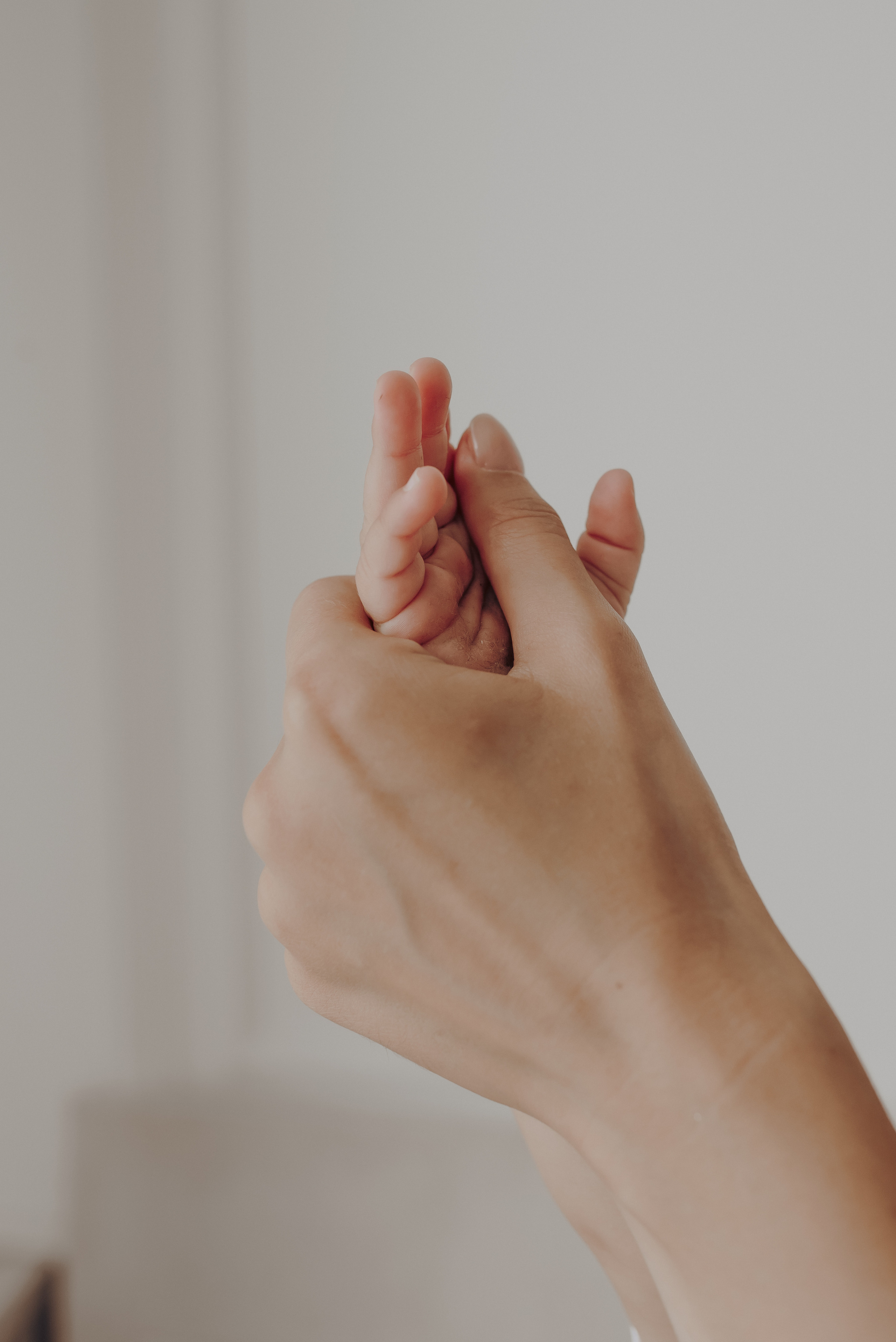 Элла, Сергей & Виктор. Семейный фотограф в Санкт-Петербурге | Баранова Галина