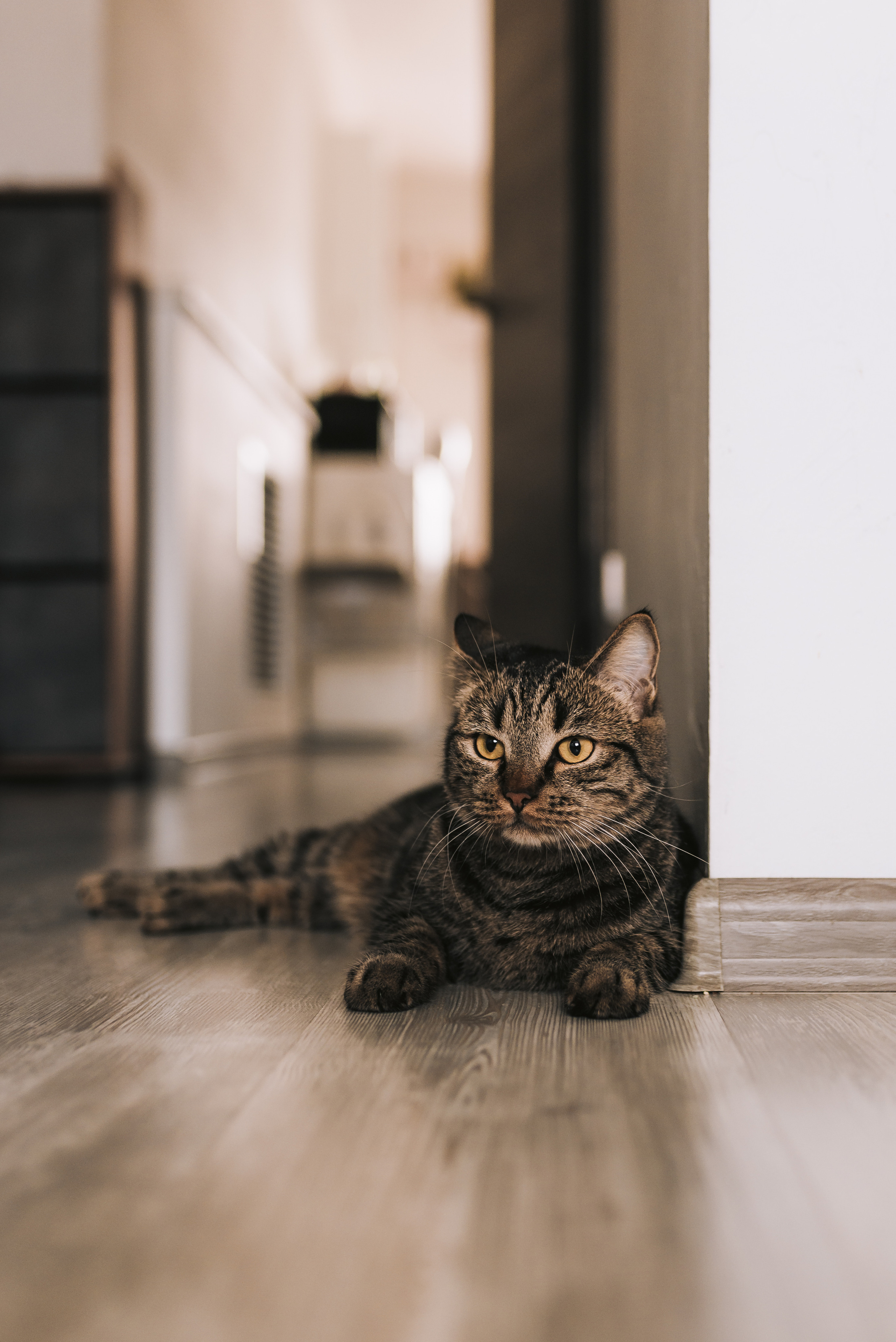 Марина, Антон & Варюша. Семейный фотограф в Санкт-Петербурге | Баранова Галина