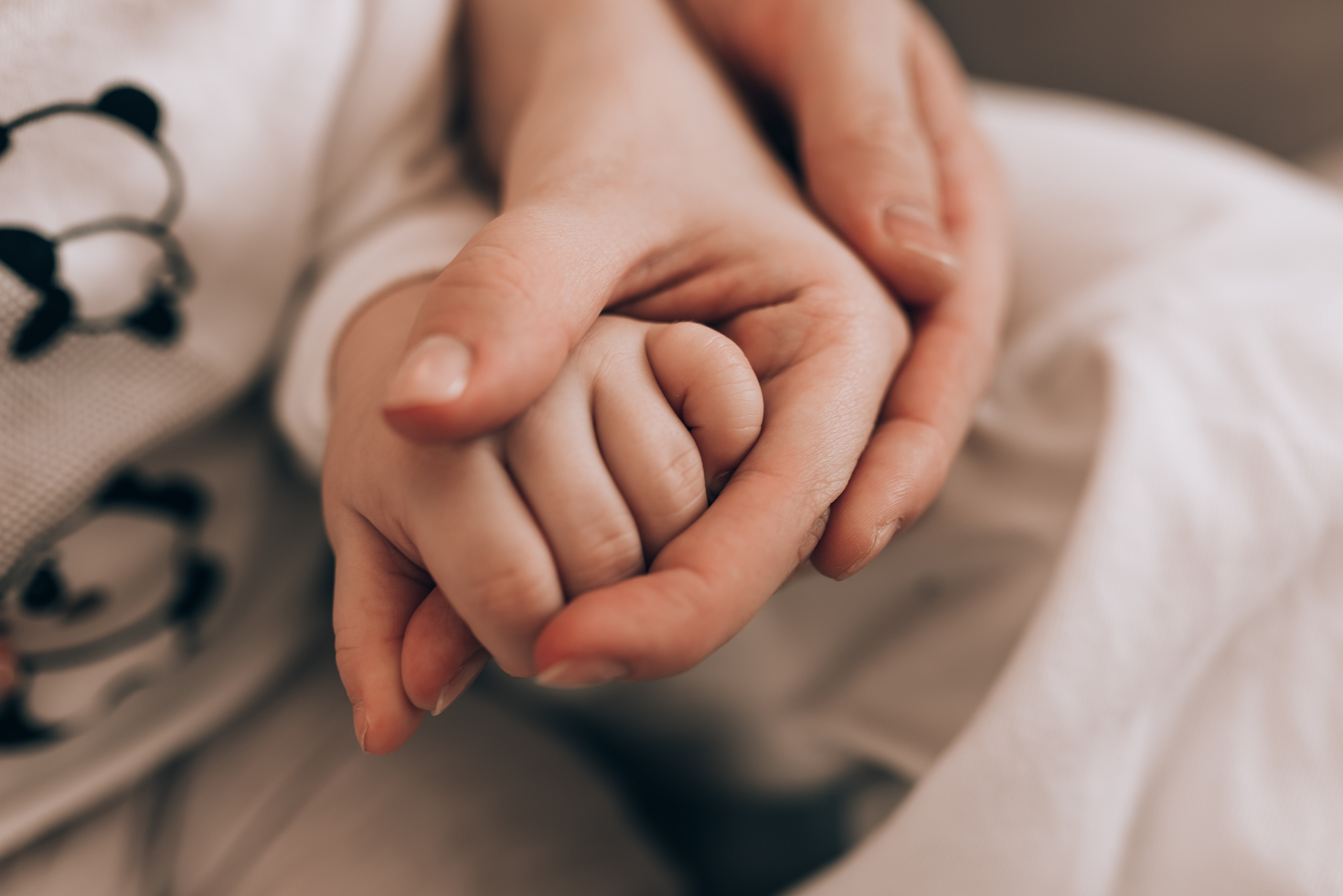 Дженифер, Влад & Тэо. Семейный фотограф в Санкт-Петербурге | Баранова Галина