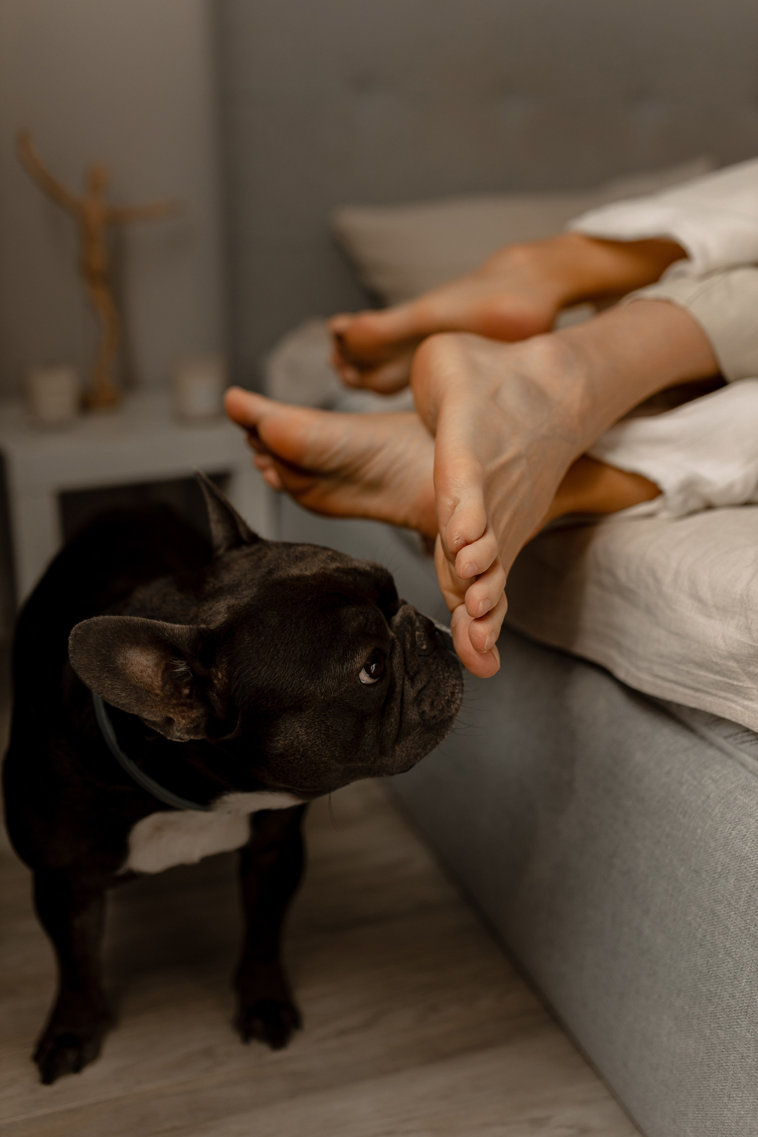 Юля, Паша, Тони. Свадебный фотограф Елена Ловцевич