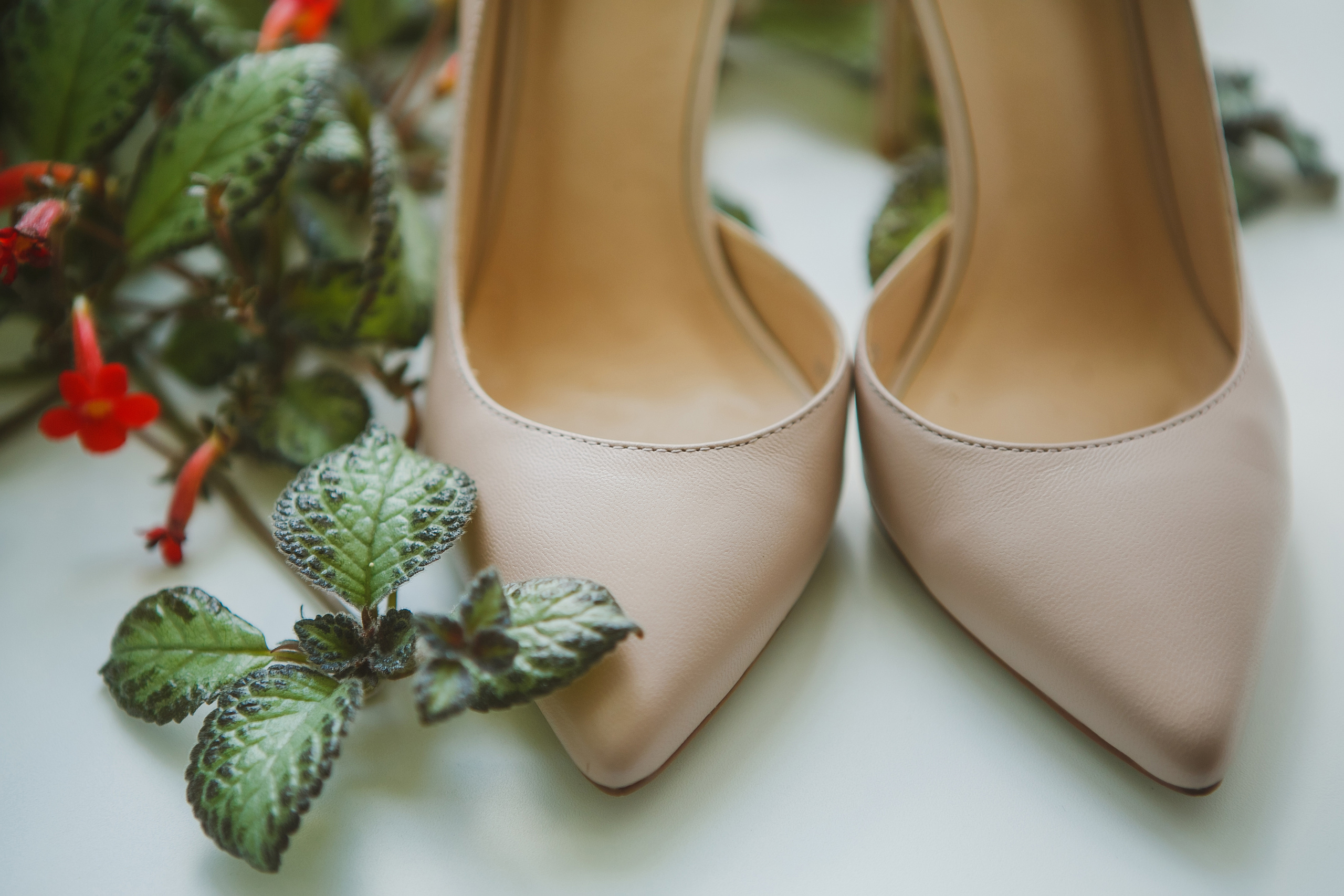 5 августа Владимир. Семейный и детский фотограф во Владимире Анна Гурова