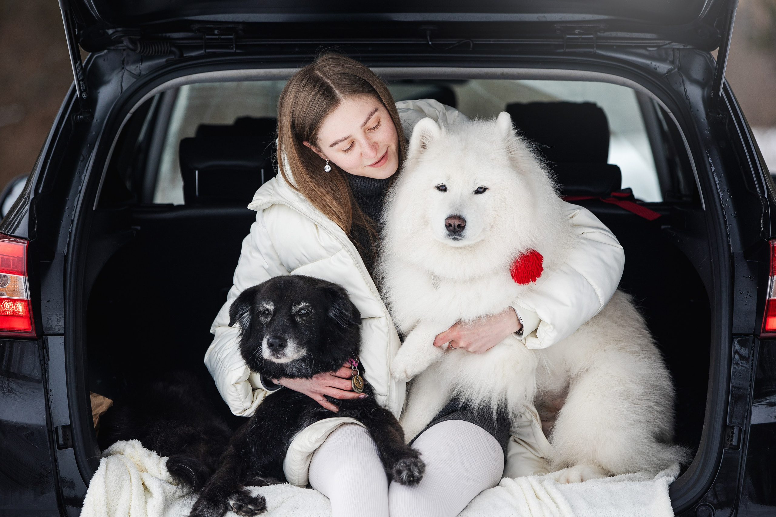 Валя, Варя и Лада. Фотограф анималист в Москве Майорова Евгения