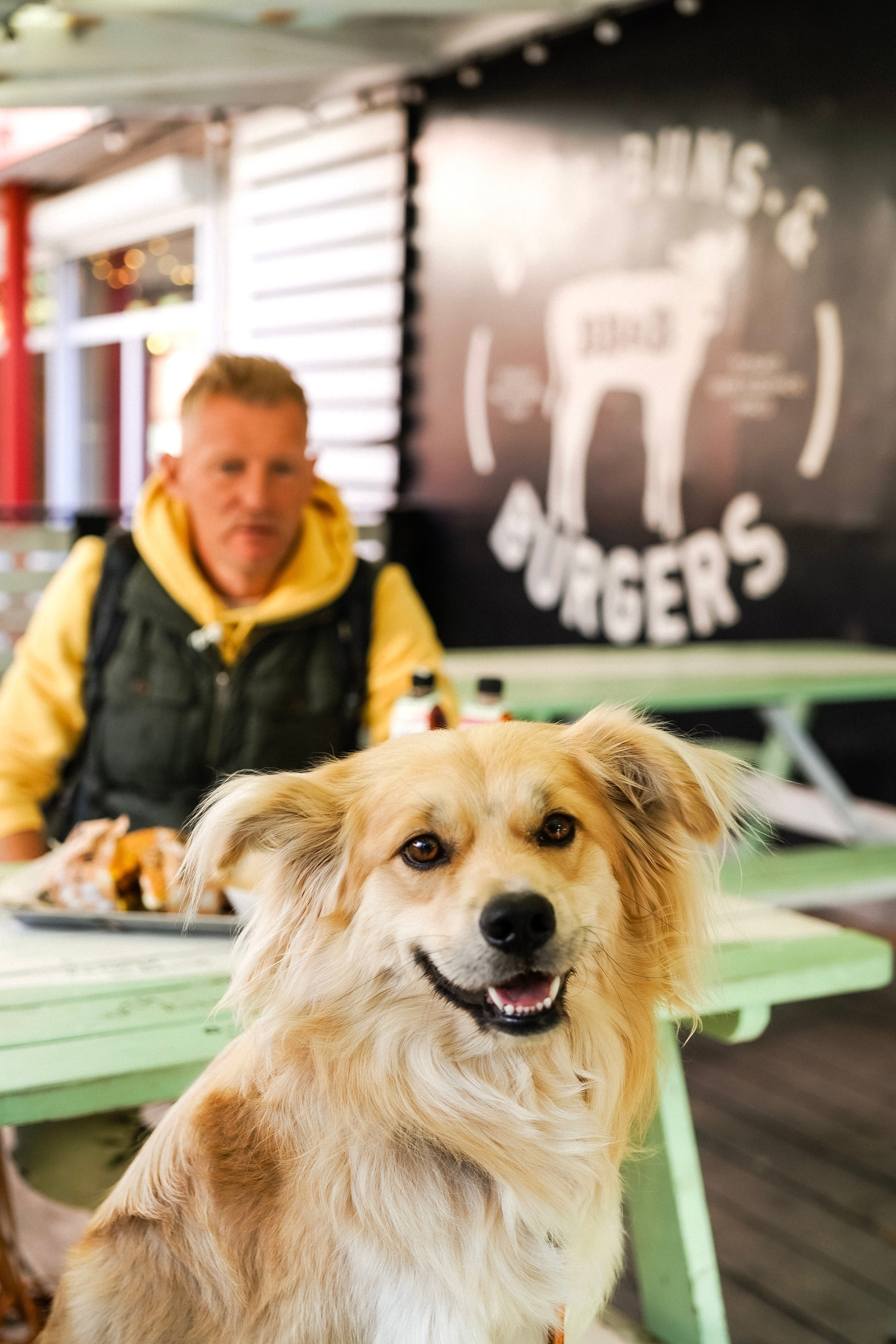 BB&Burgers. AMODEO STUDIO