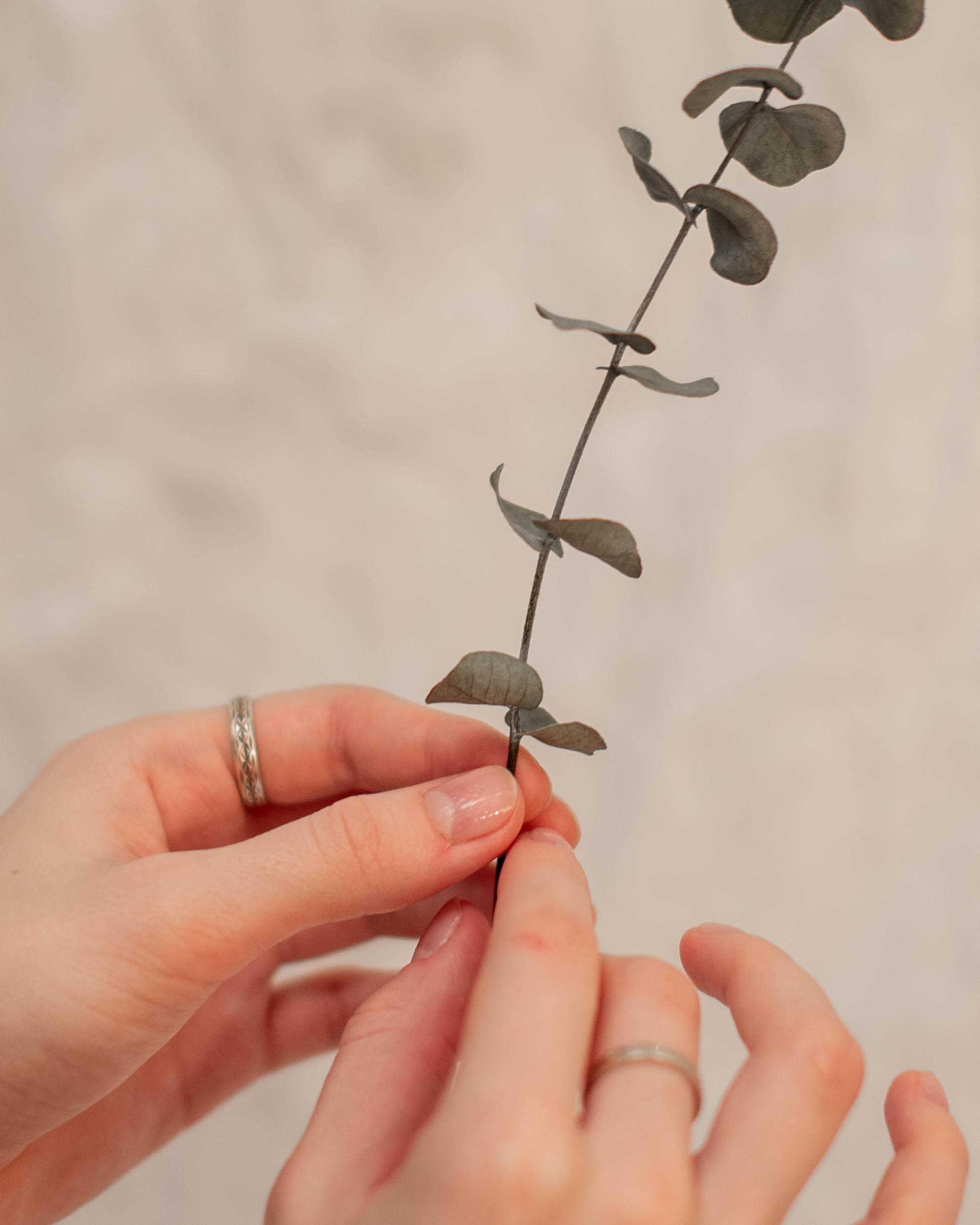 Sofi. Семейный, Свадебный фотограф СПБ Питер— Романова Екатерина