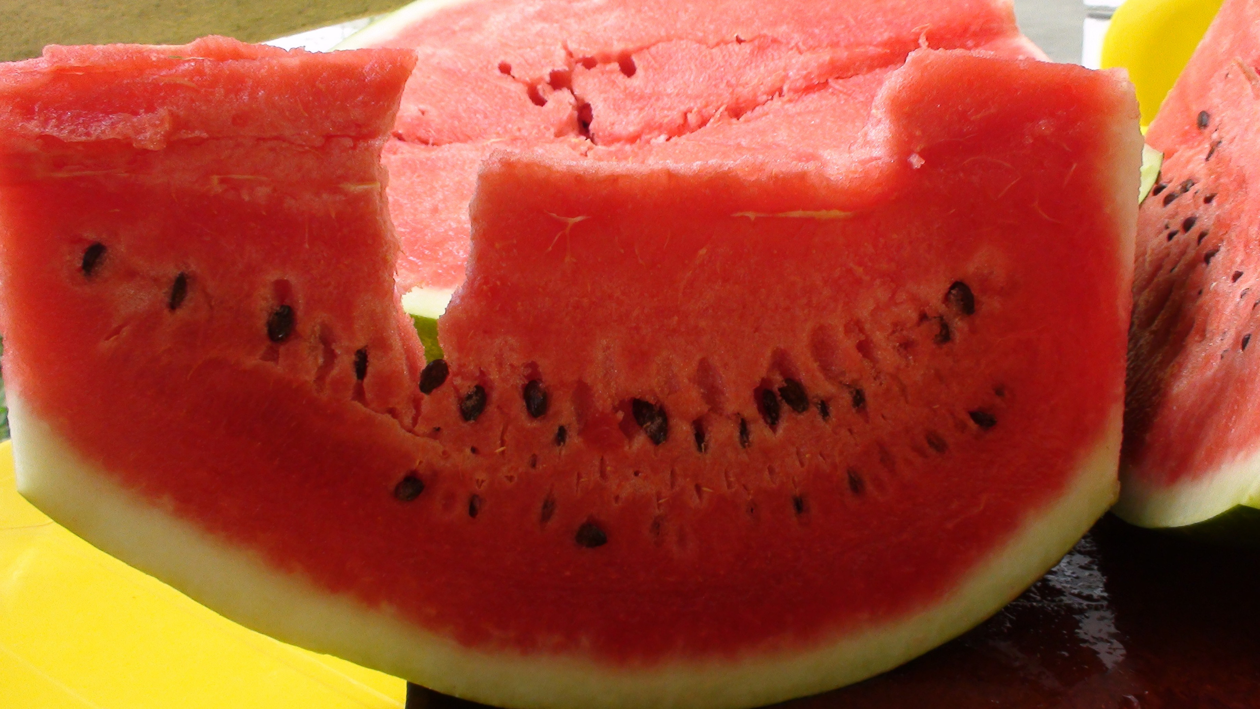 Отпуск 27.05-16.08. Семейный, Свадебный фотограф СПБ Питер— Романова Екатерина