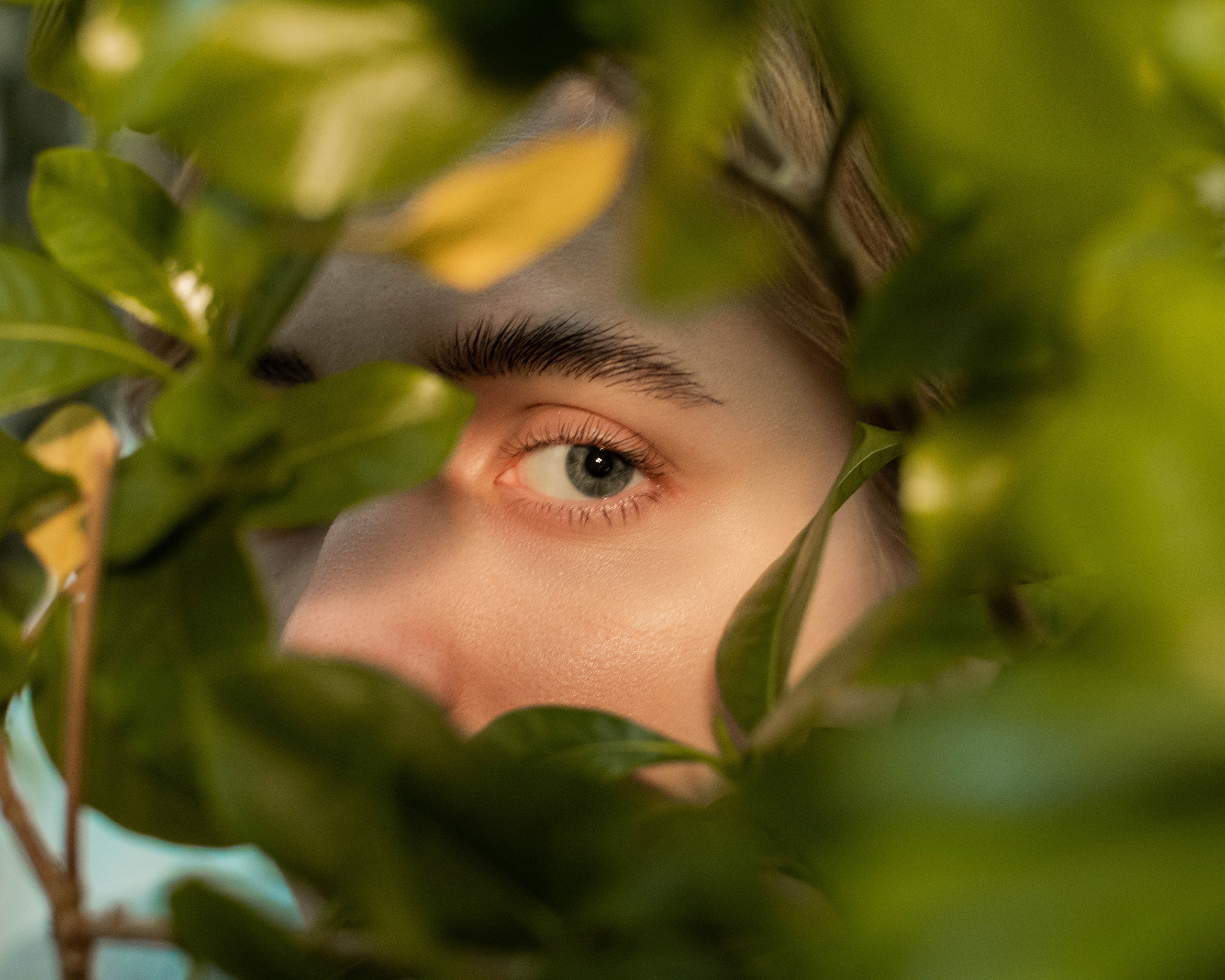 Sofi. Семейный, Свадебный фотограф СПБ Питер— Романова Екатерина