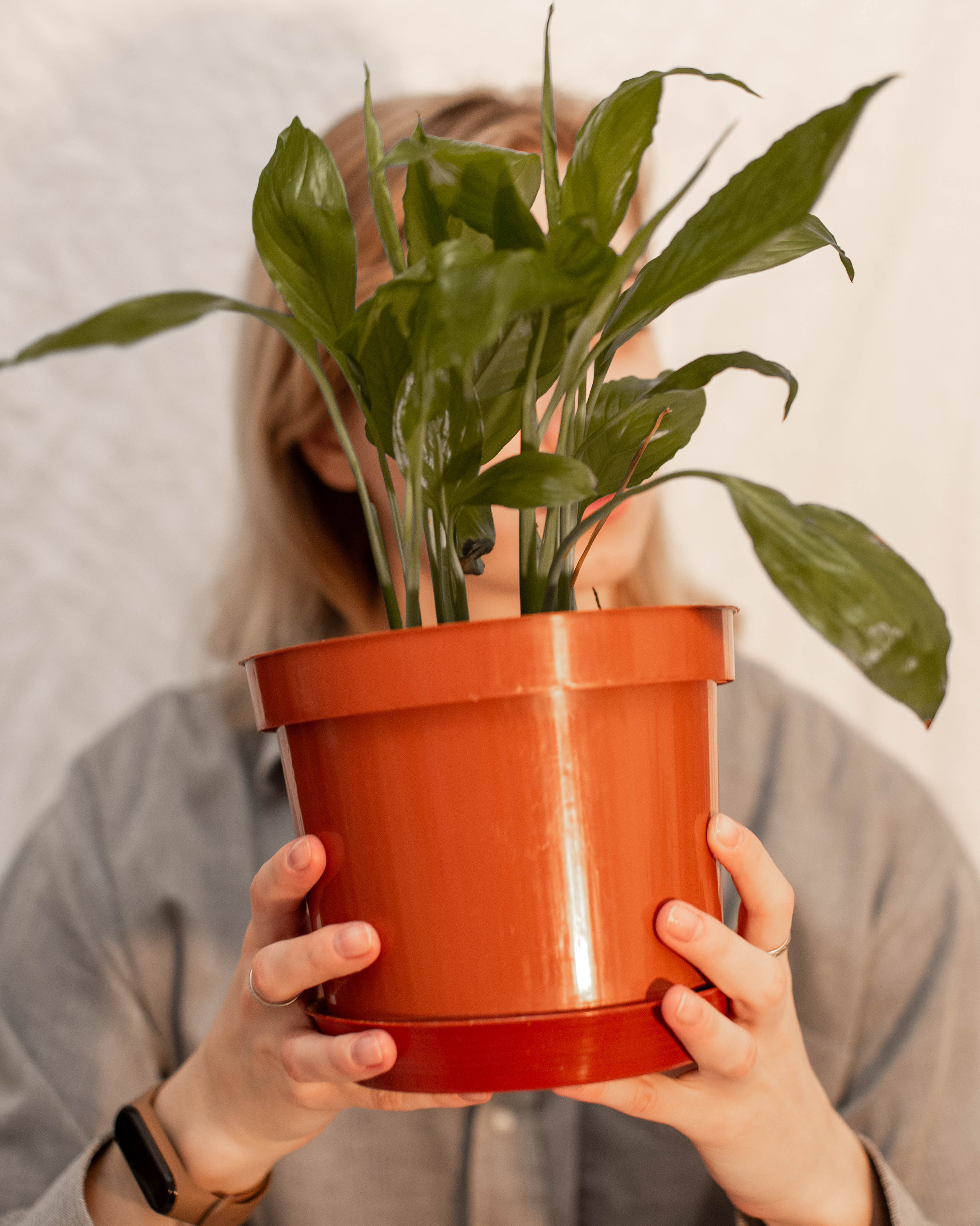 Sofi. Семейный, Свадебный фотограф СПБ Питер— Романова Екатерина