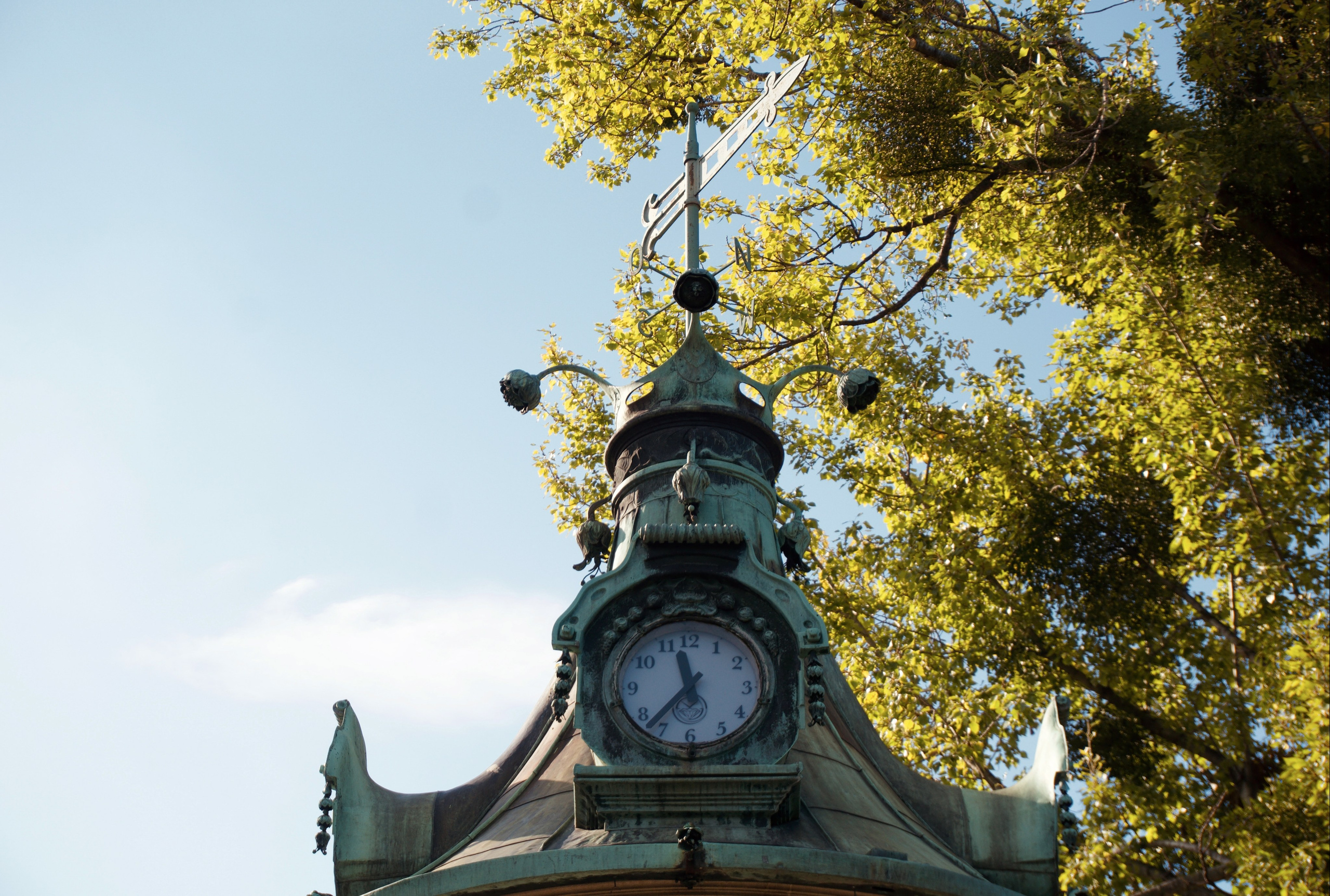 Города. Анна Жукова — Режиссёр кино и цирка, сценарист, фотограф