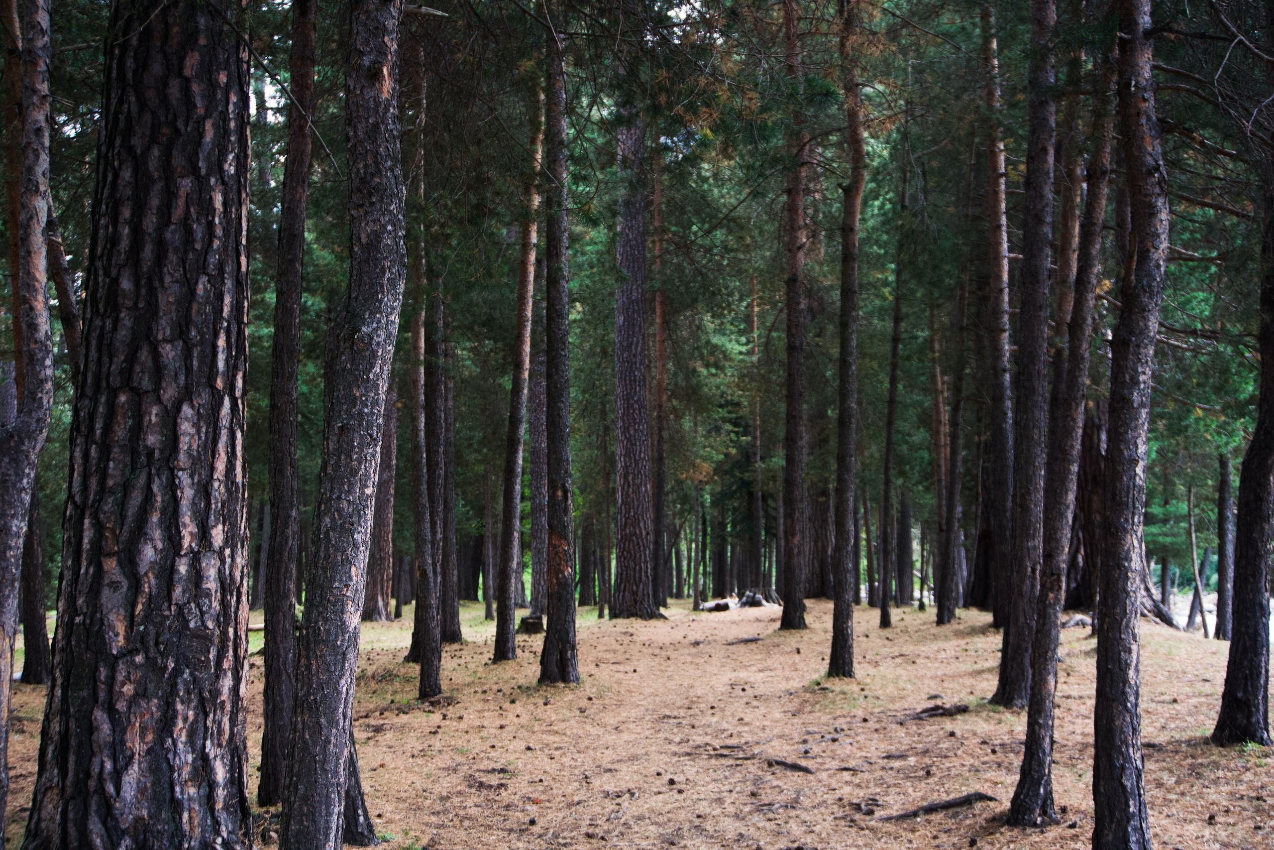 Кавказ. Анна Жукова — Режиссёр кино и цирка, сценарист, фотограф