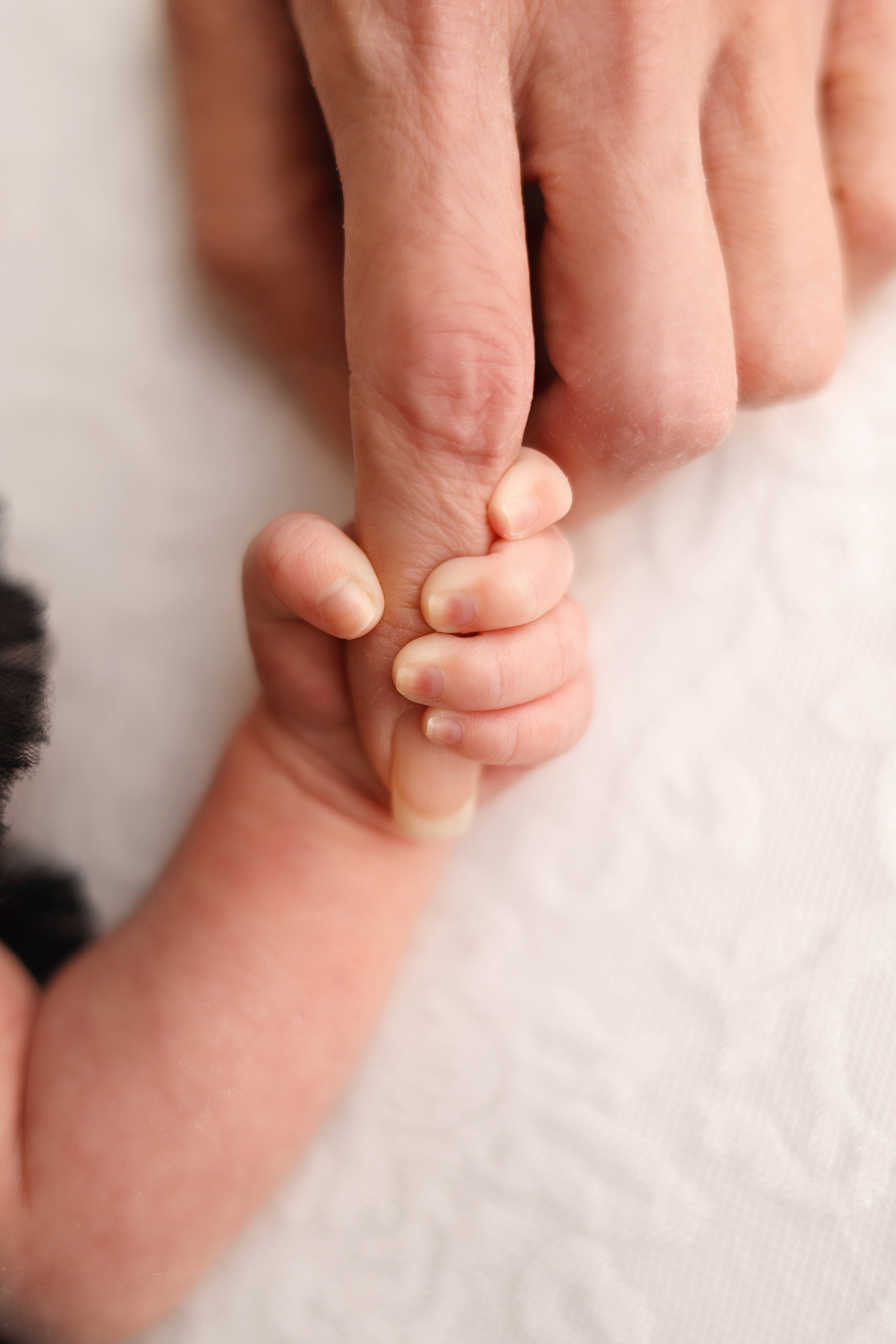 Ньюборн фотосессия Алины, фотограф новорожденных Светлана Столярова. Фотограф новорожденных Москва. Ньюборн фотограф Москва