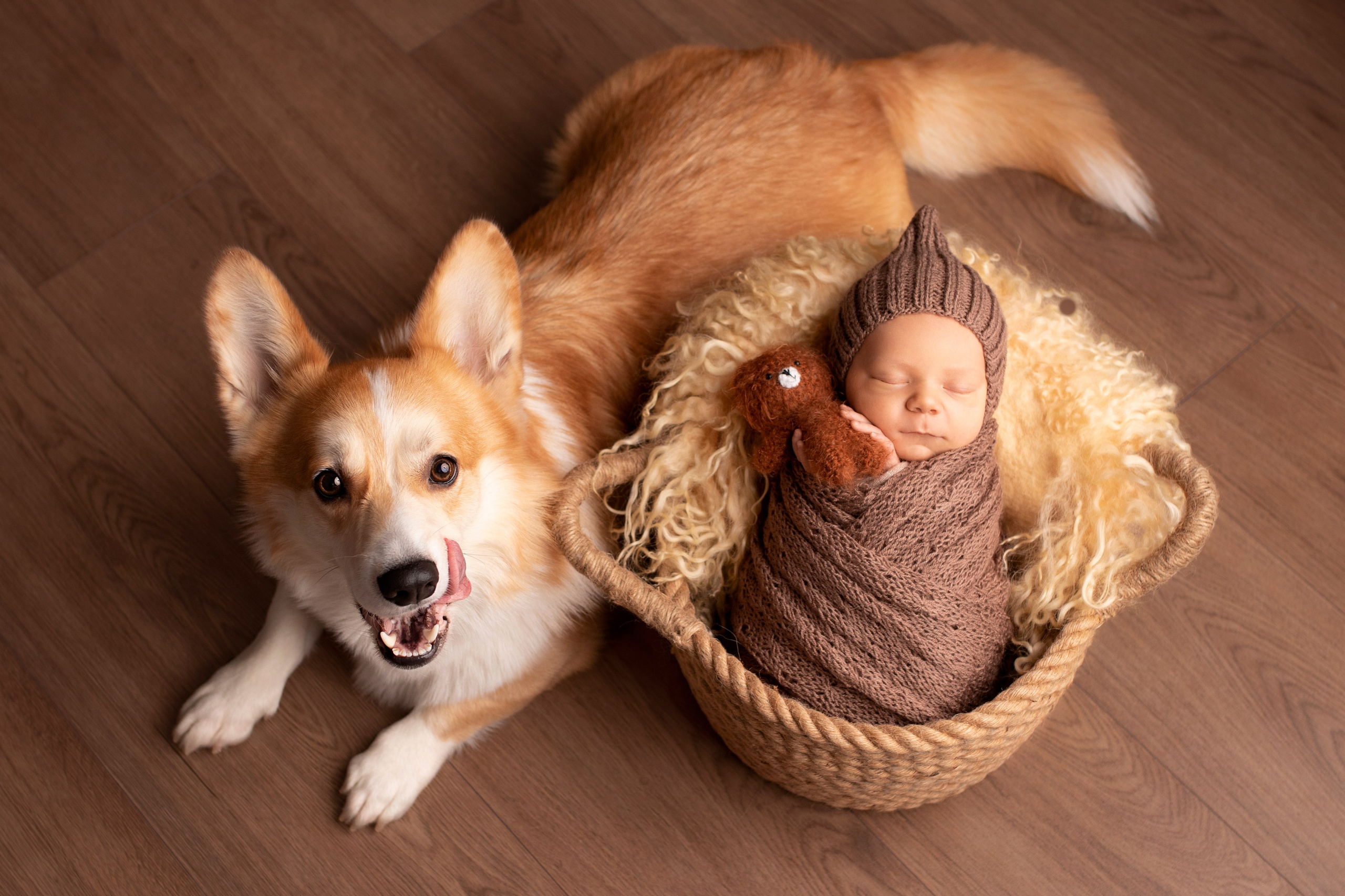 Красивые фотографии малышей у Вас дома. Фотограф новорождённых в Санкт-Петербурге Лилия Яковлева