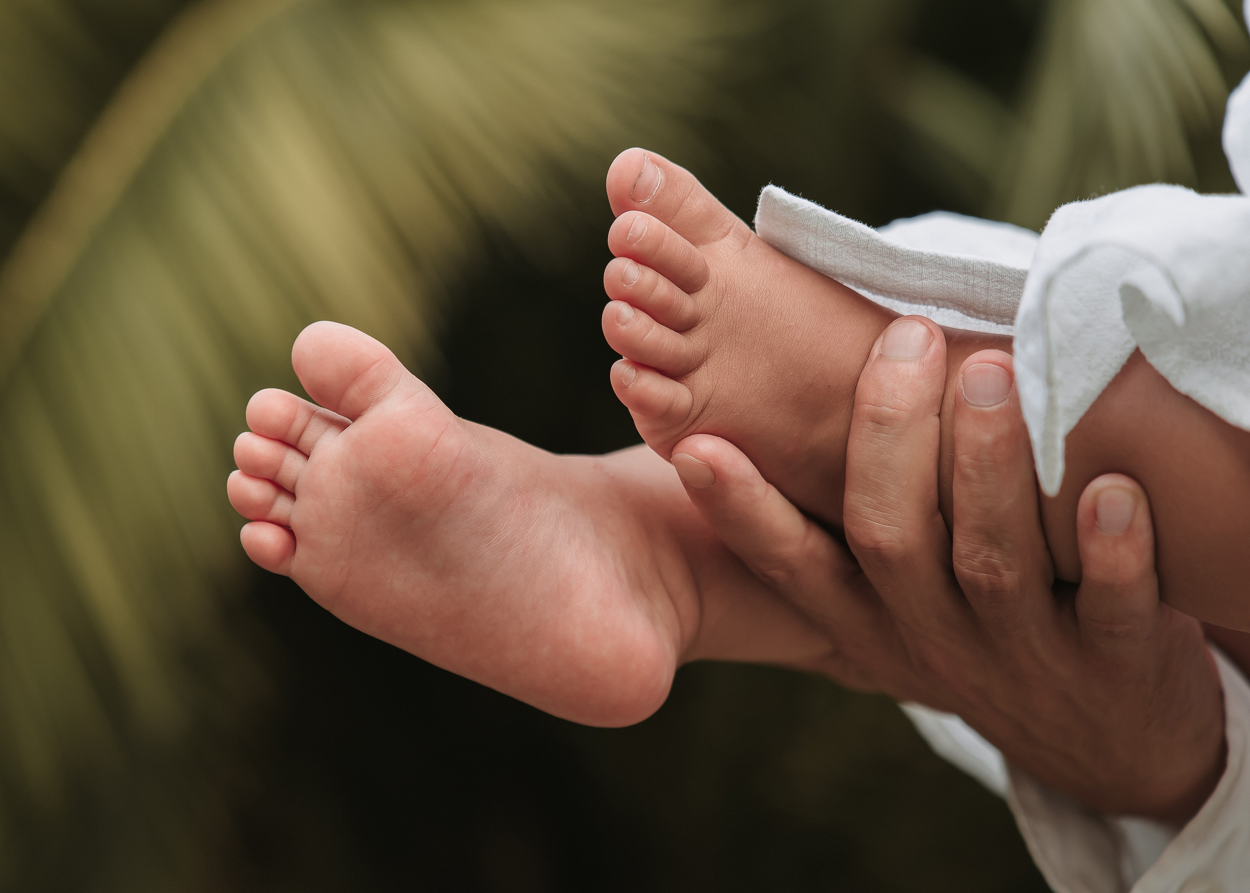 Фотосессия беременных, семейная с детьми и животными в Сочи, Адлере. Алина Бернд — свадебный и индивидуальный фотограф в Сочи и Адлере