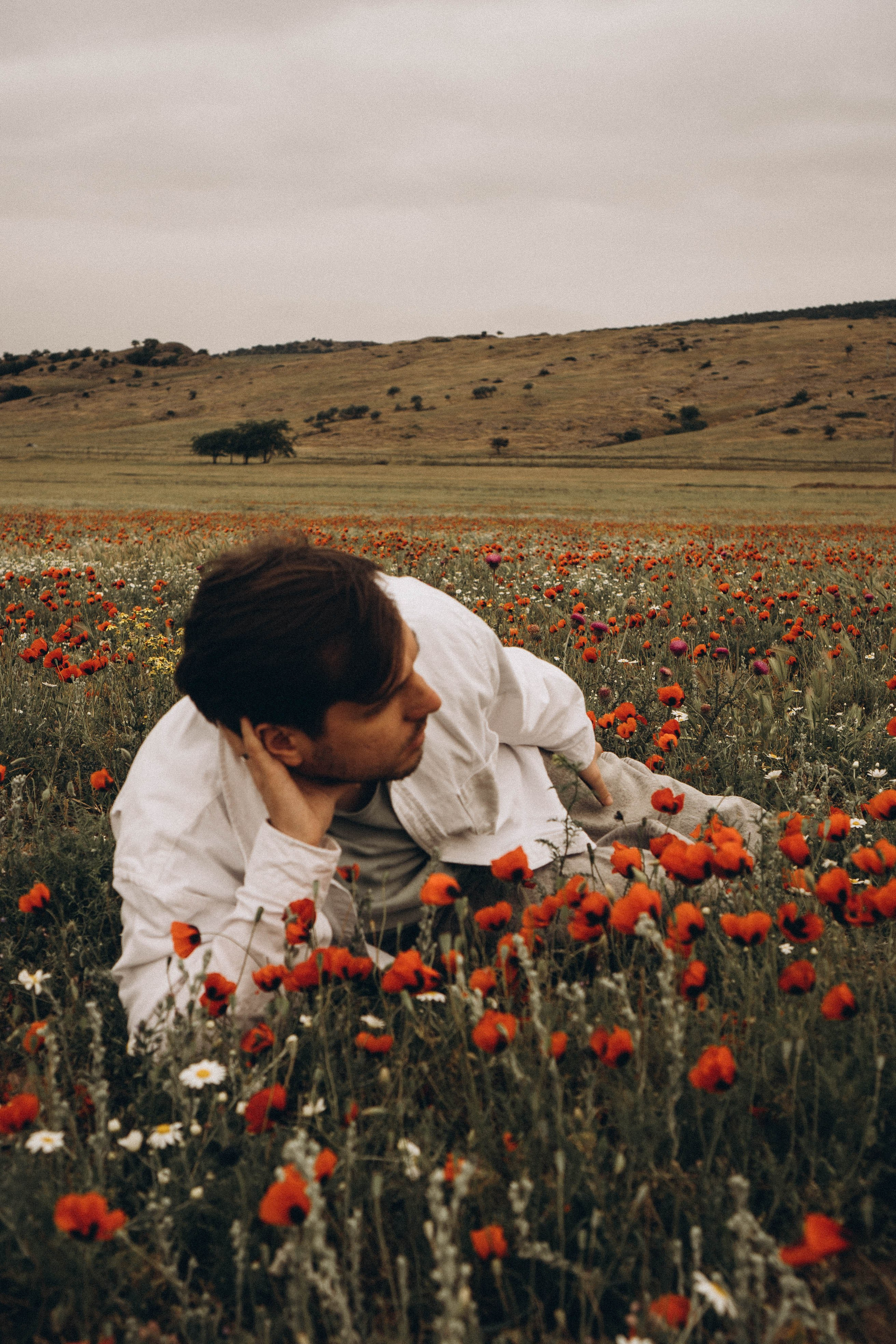 Маки. Профессиональный фотограф, Санкт-Петербург — Виктория Богомолова